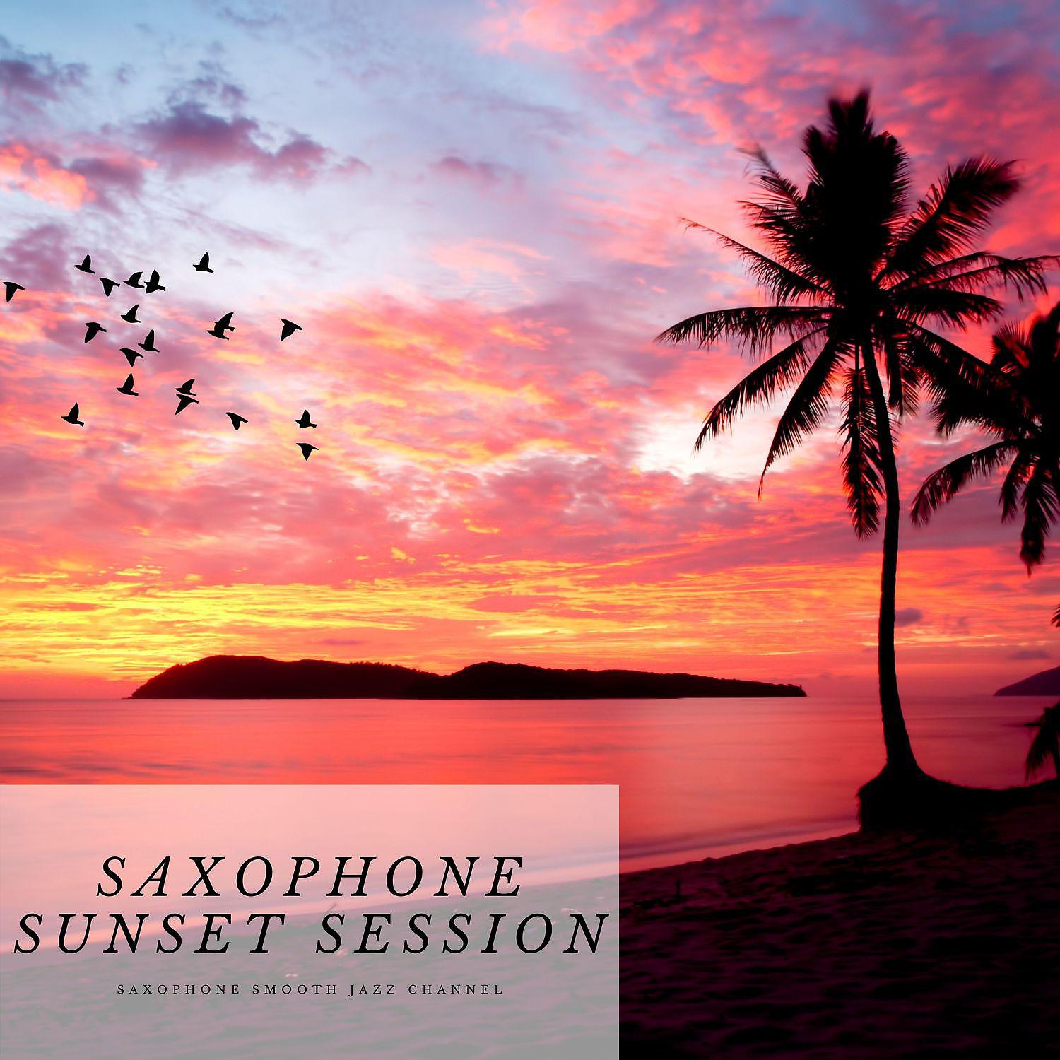 Постер альбома Saxophone Sunset Session