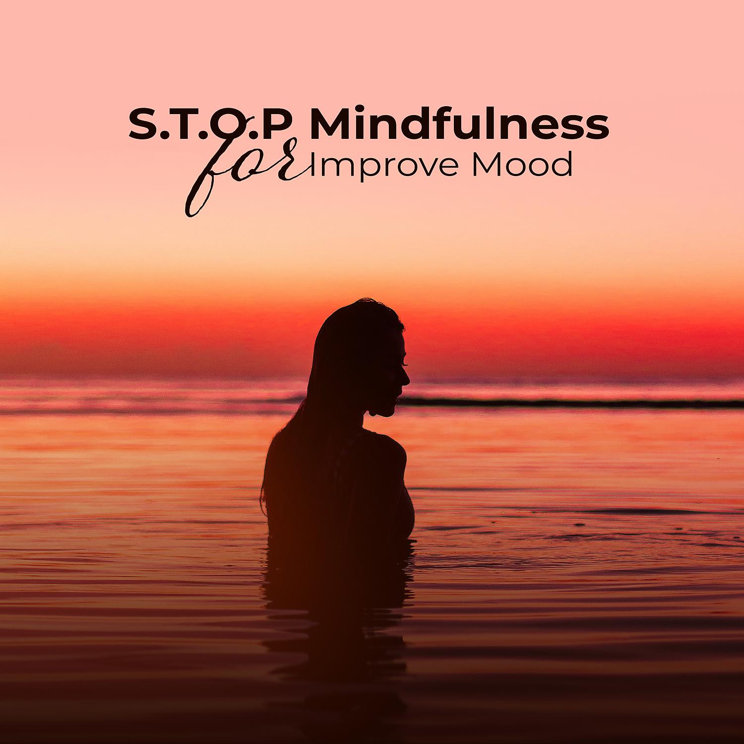 Постер альбома S.T.O.P Mindfulness for Improve Mood