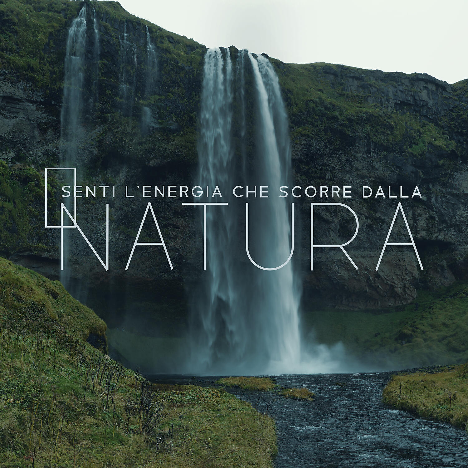 Suoni rilassanti della natura - Calma la tua mente