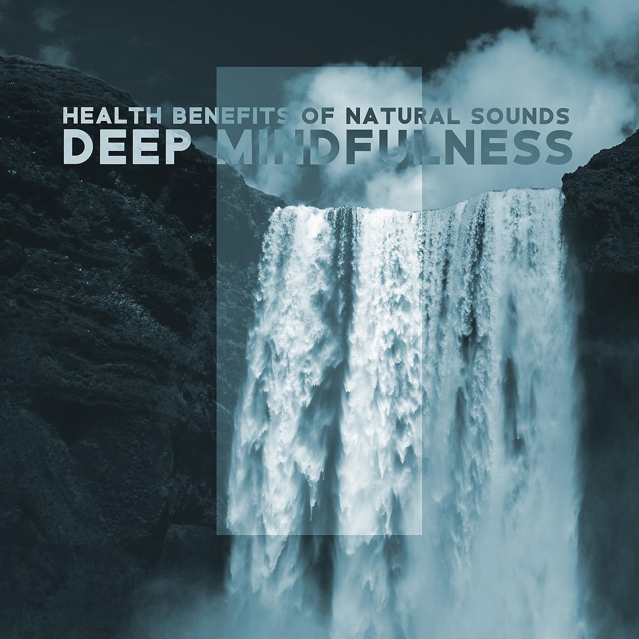 Постер альбома Health Benefits of Natural Sounds
