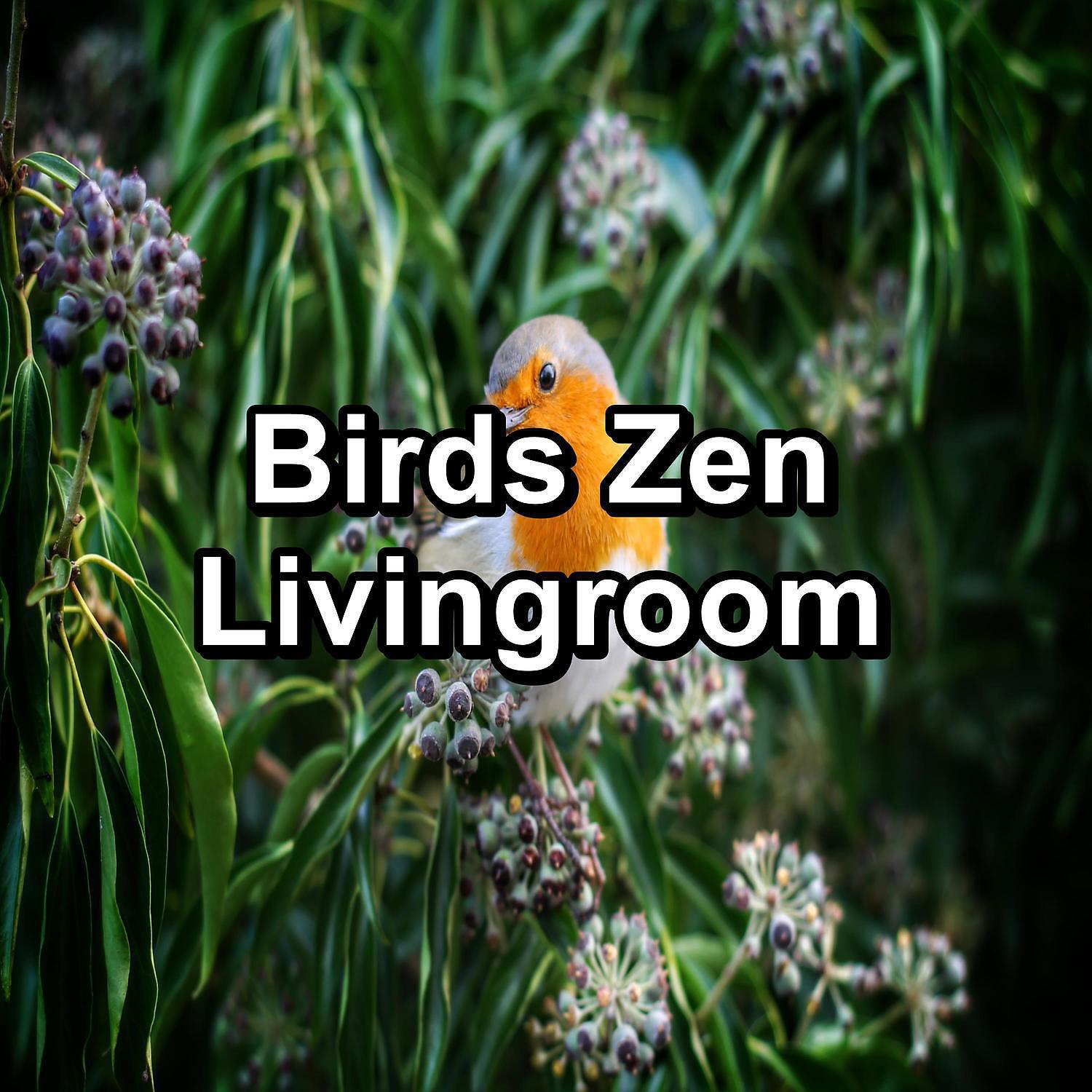 Bird Songs - ASMR Bird Sounds ASMR Instant Relaxing Loopable for the Night