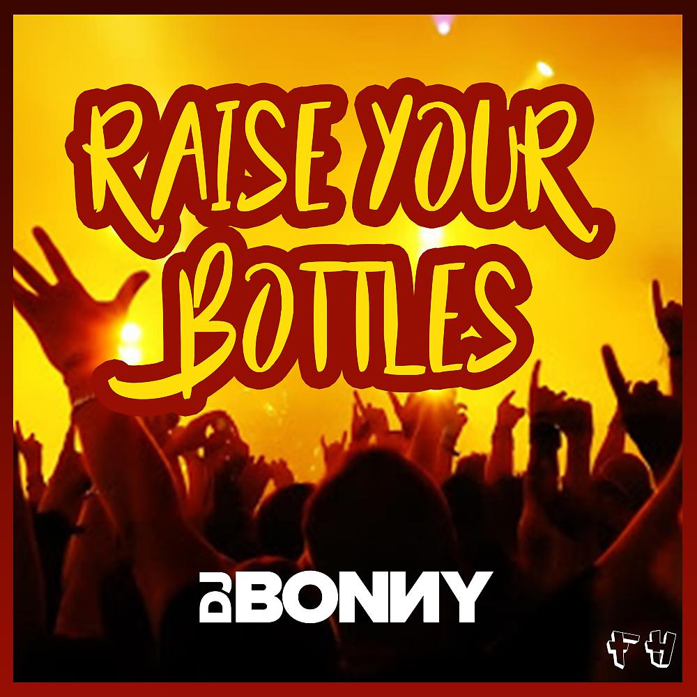 Постер альбома Raise Your Bottles