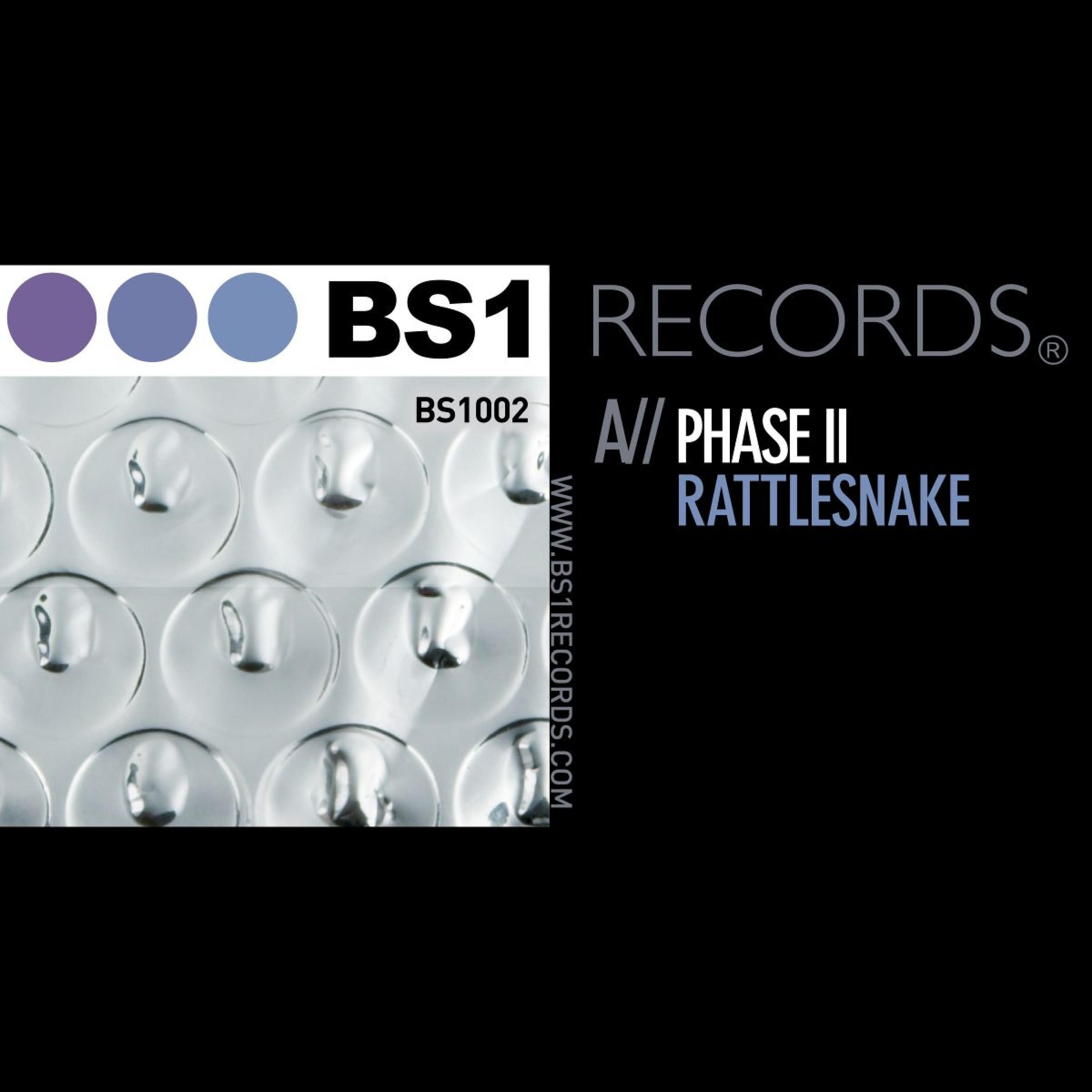 Постер альбома Rattlesnake / Balance