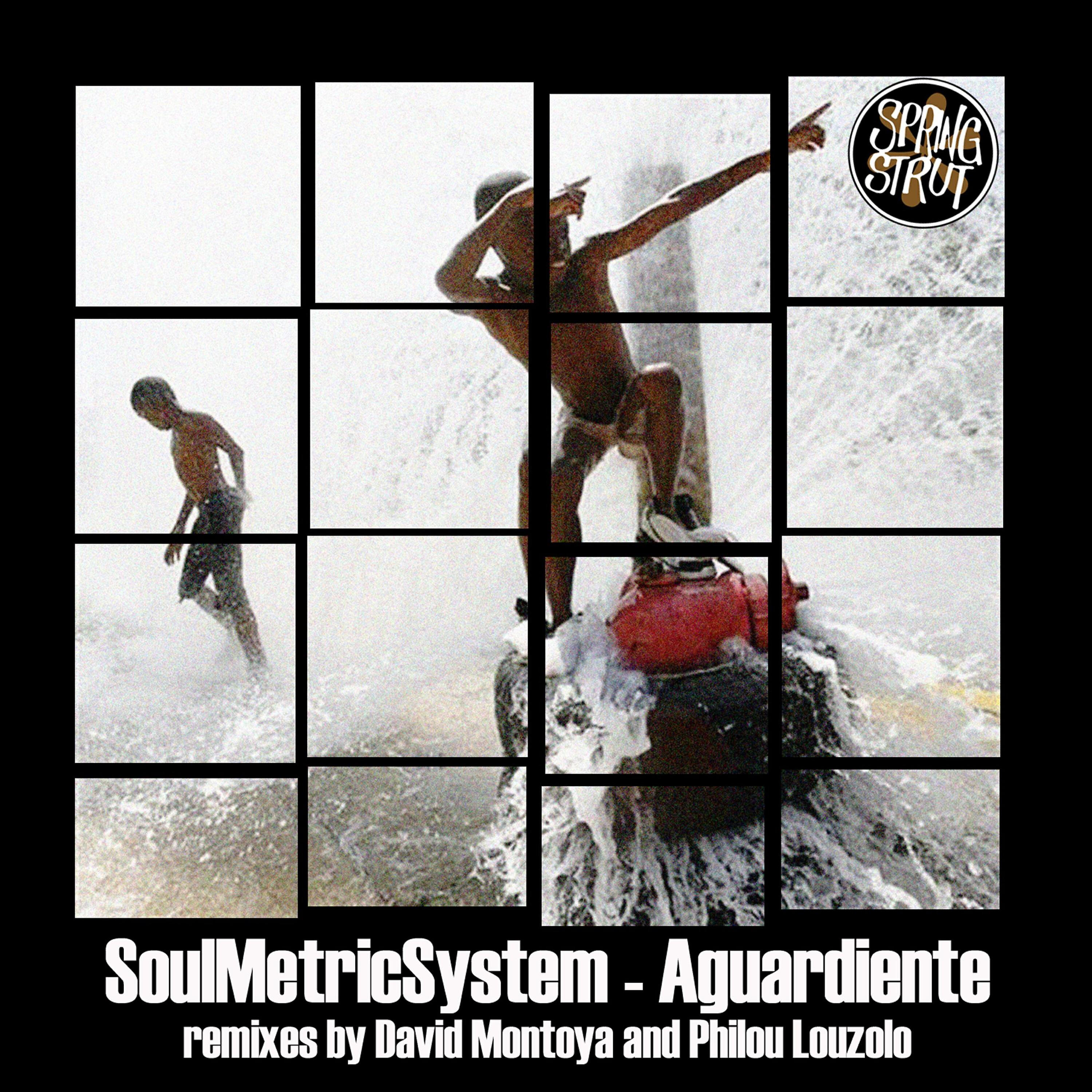 SoulMetricSystem - Aguardiente