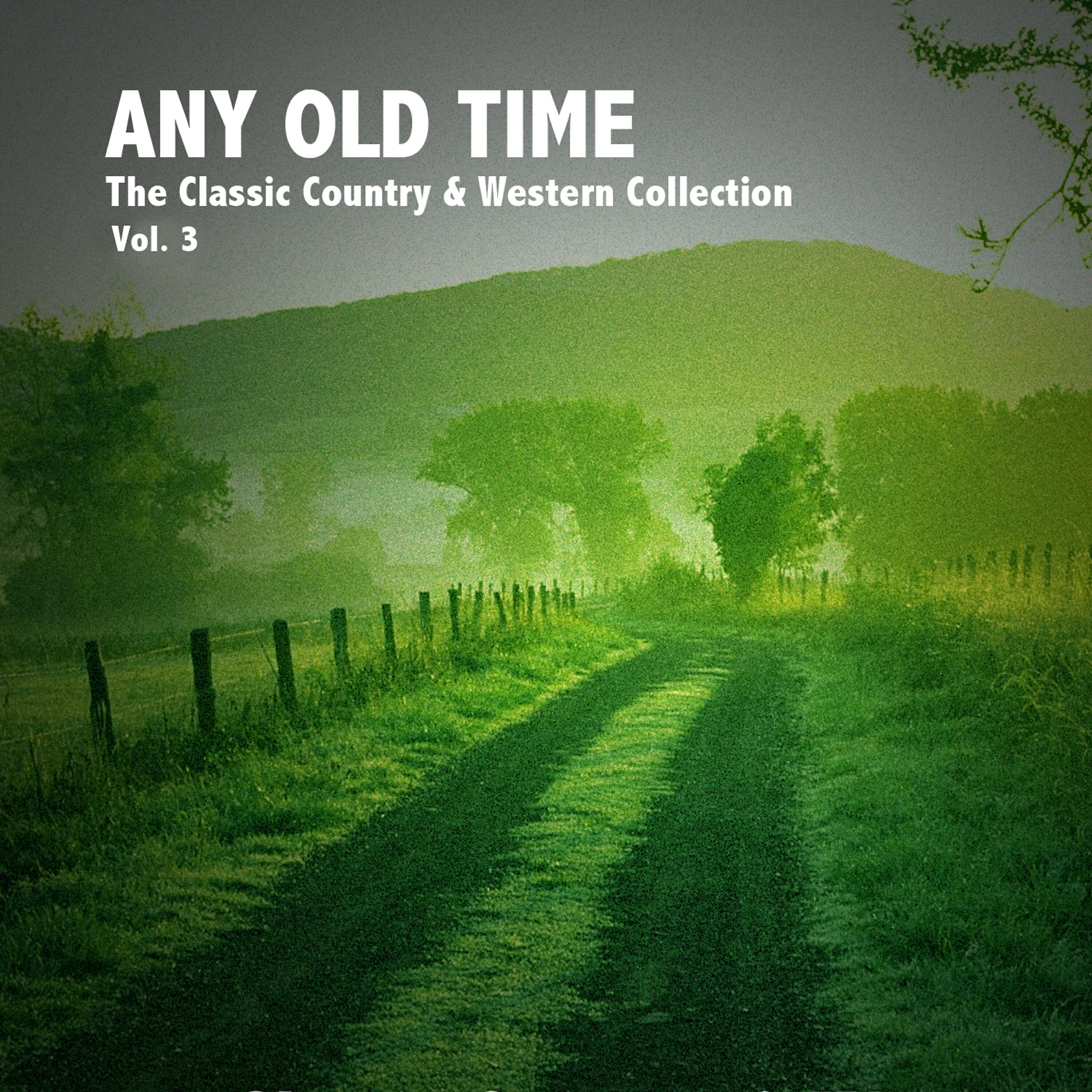 W.M. Stepp - Mud Fence