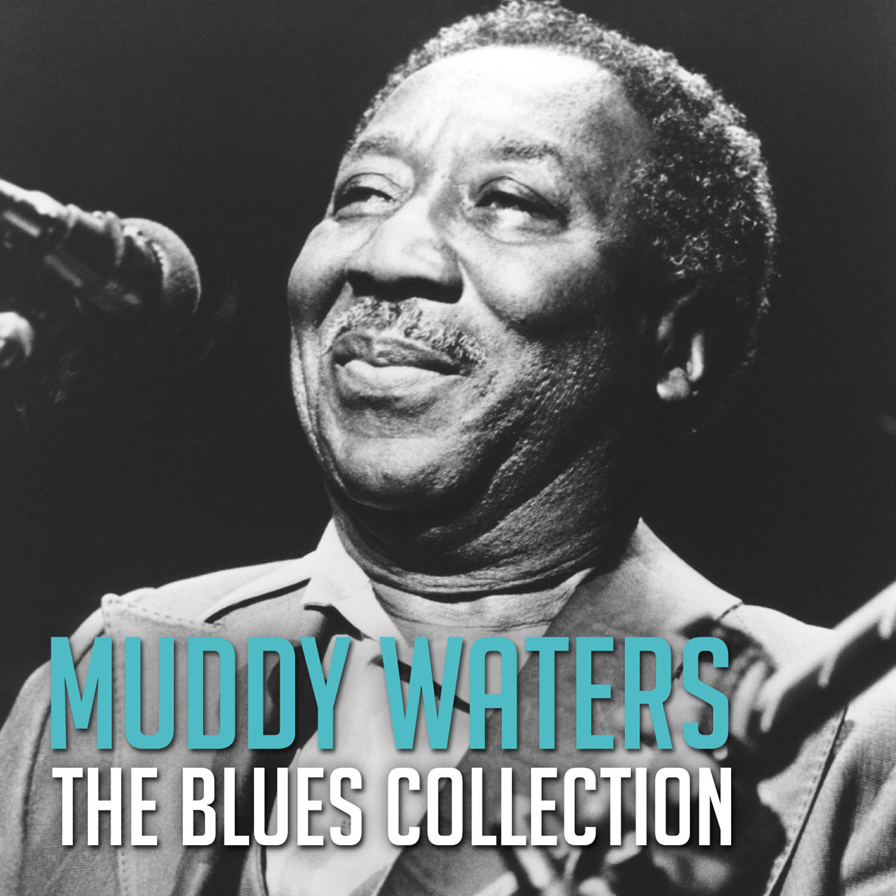 Muddy Waters - Manish Boy