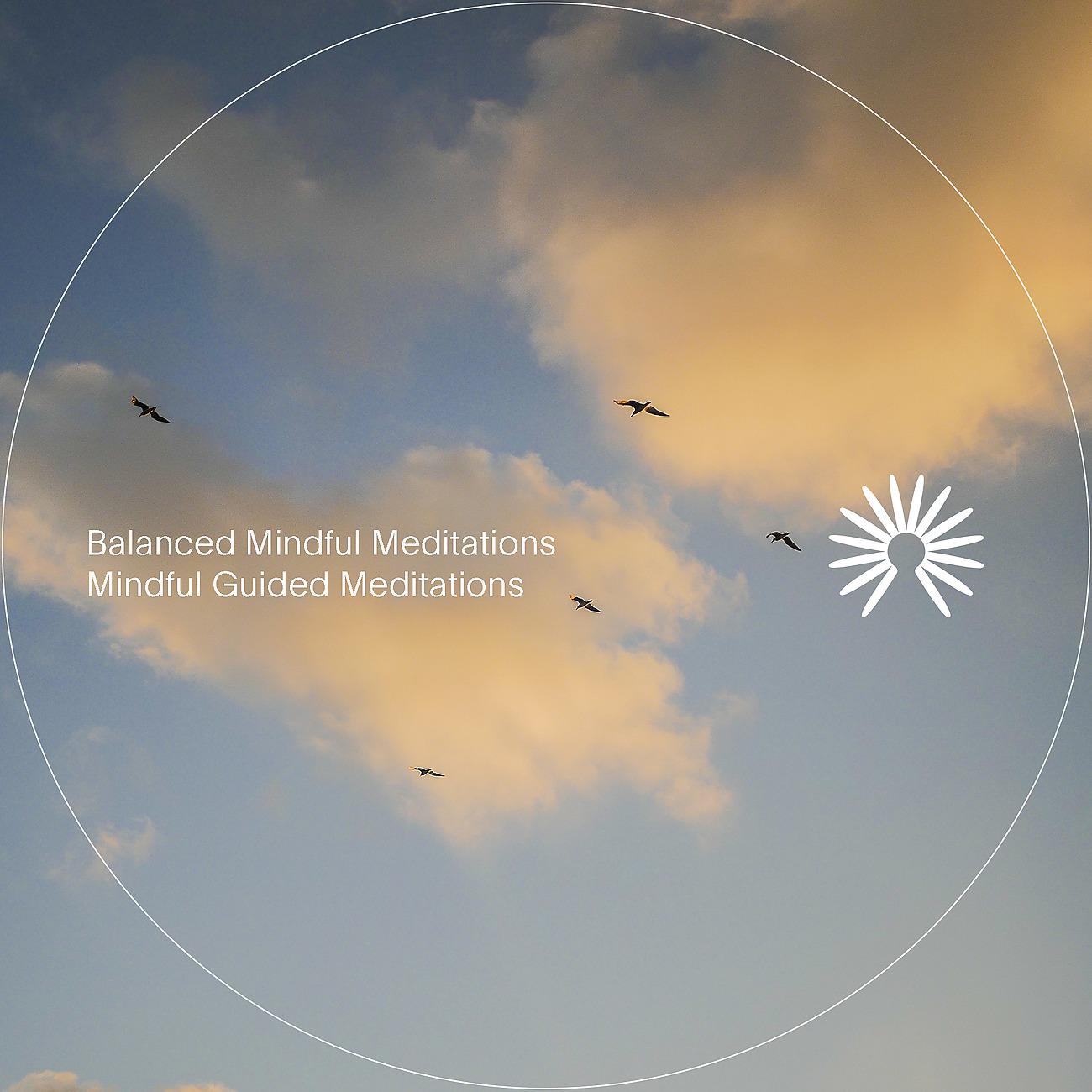 Постер альбома Mindful Guided Meditations