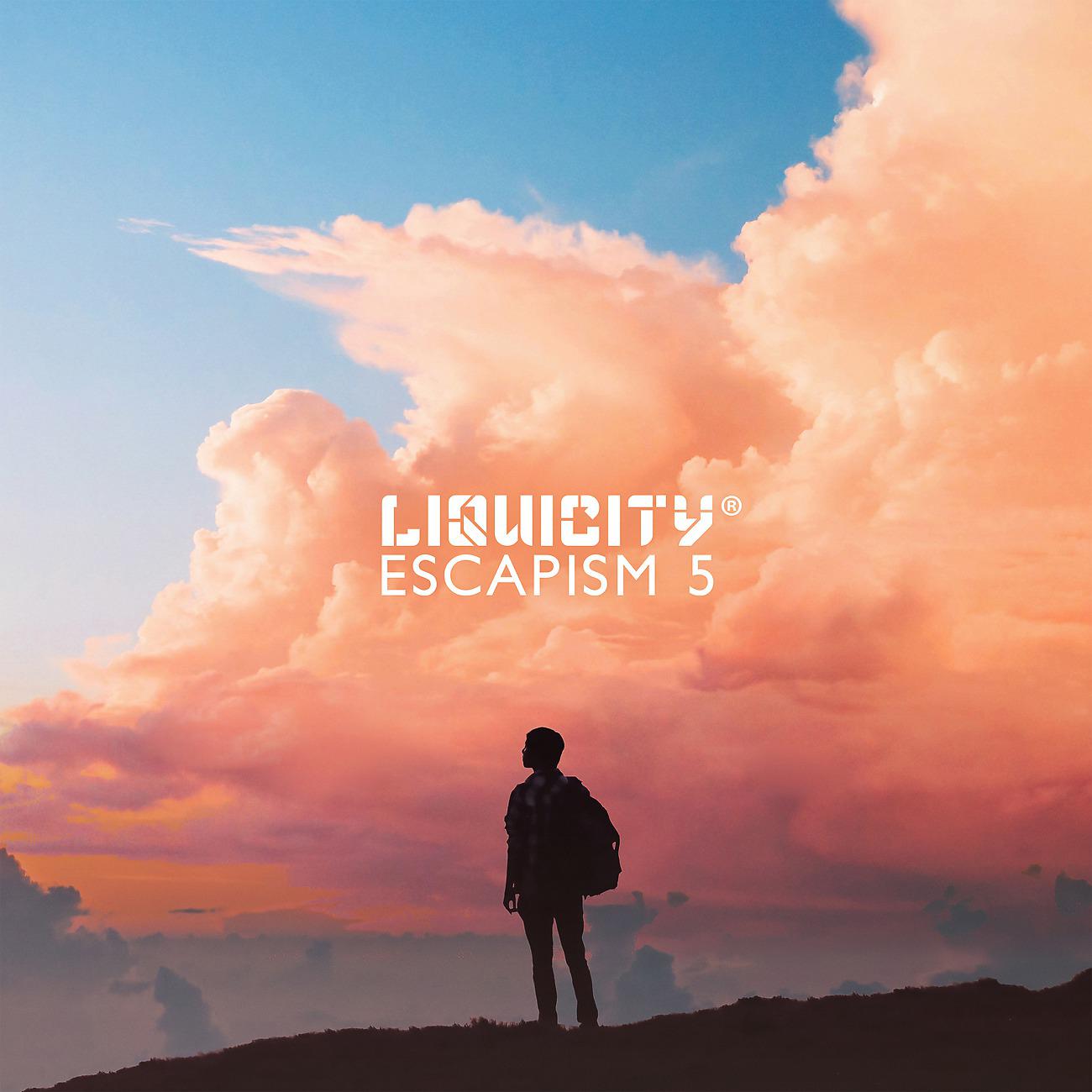 Постер альбома Liquicity Escapism 5