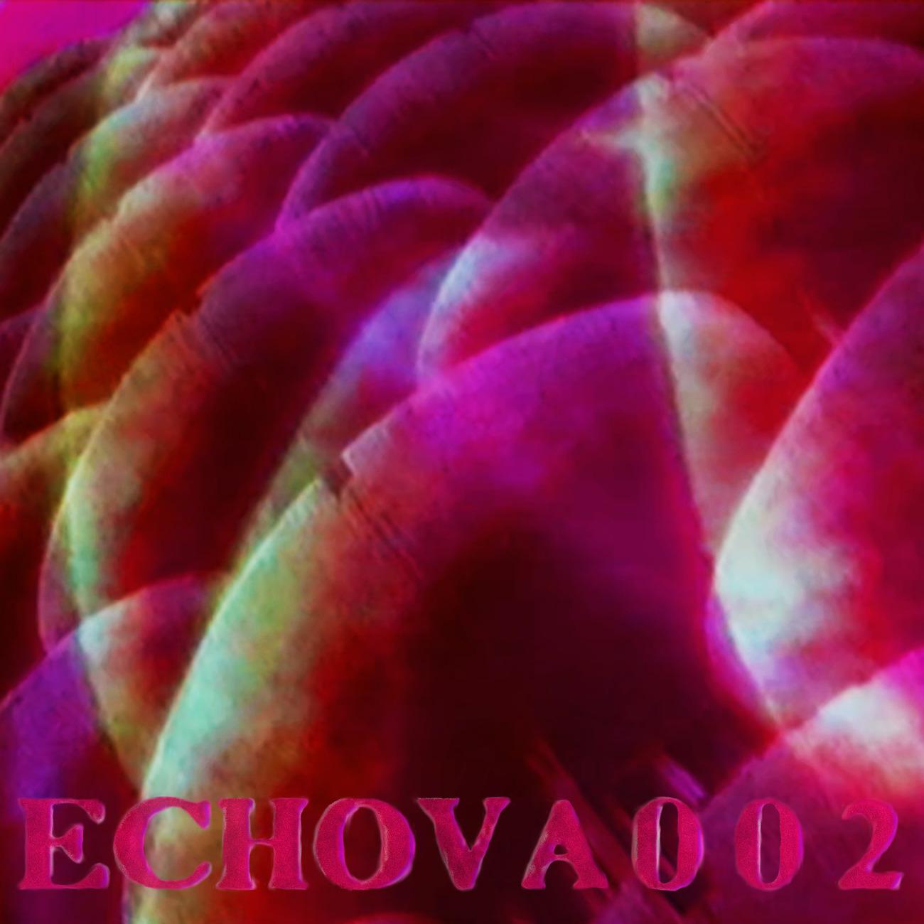 Постер альбома ECHO VA 002
