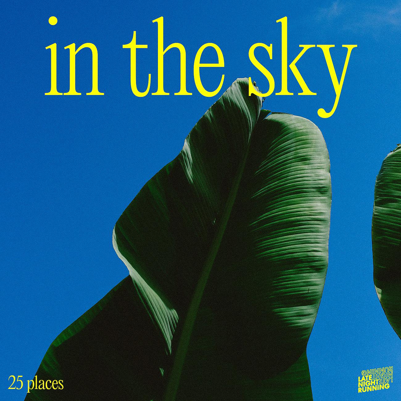 Постер альбома In The Sky