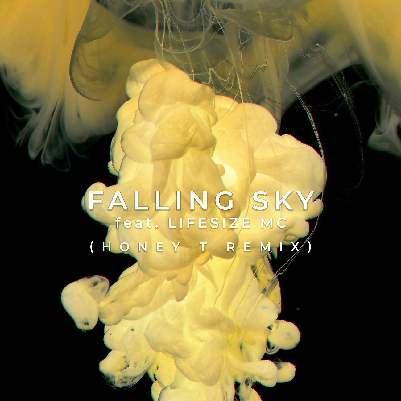 Постер альбома Falling Sky feat. Lifesize MC Honey T Remix