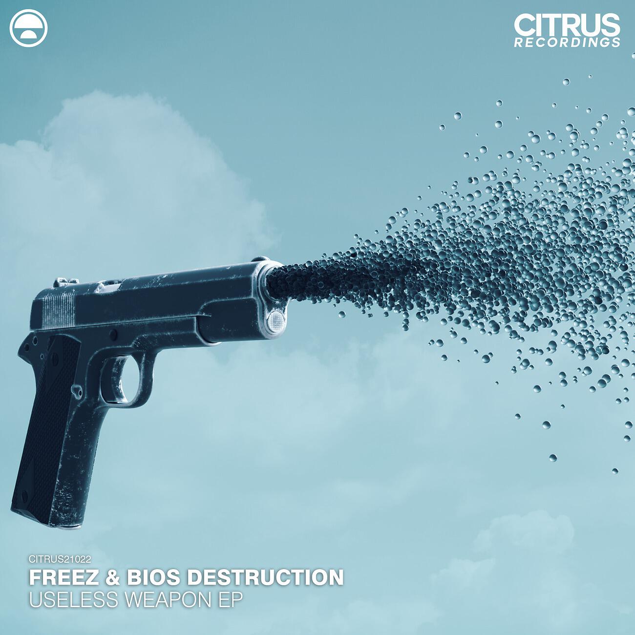 Bios Destruction - Ohno