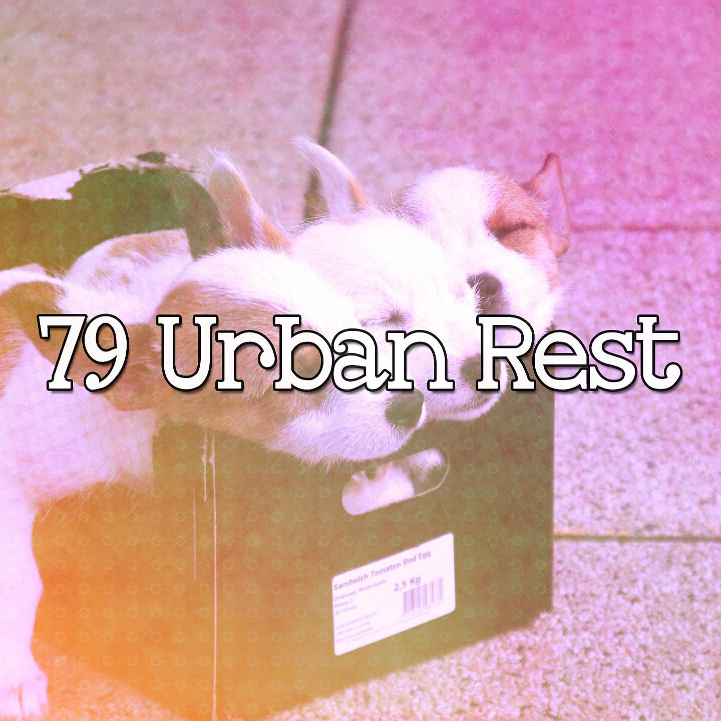 Rockabye Lullaby - Dream Creche