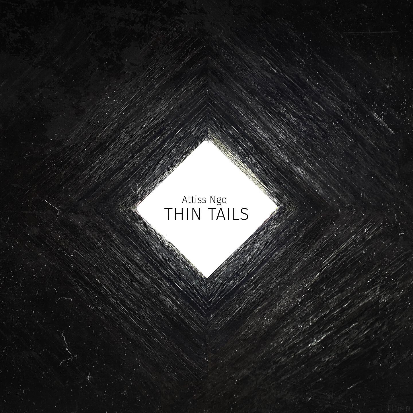 Attiss Ngo - Thin Tails