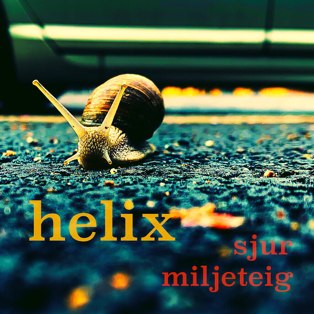 Sjur Miljeteig - Secgong