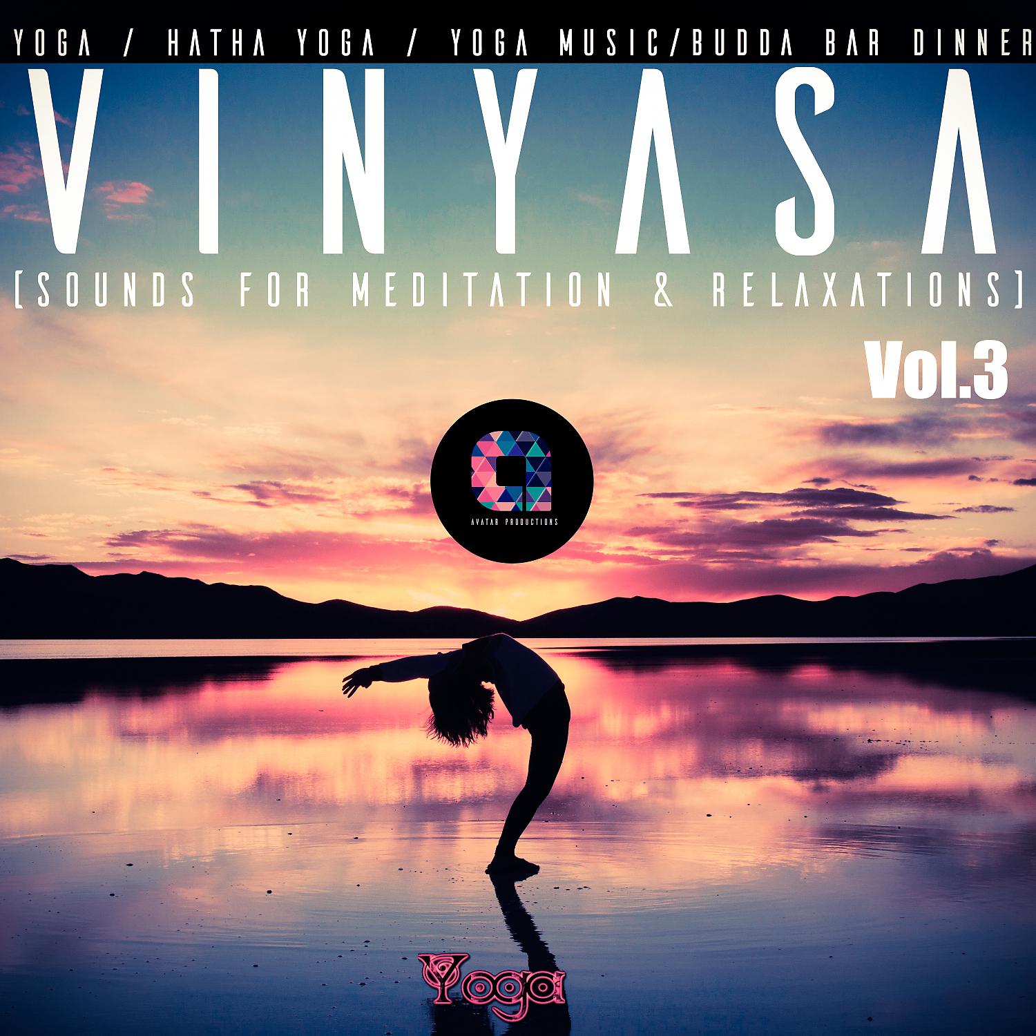 Постер альбома Vinyasa, Vol.3