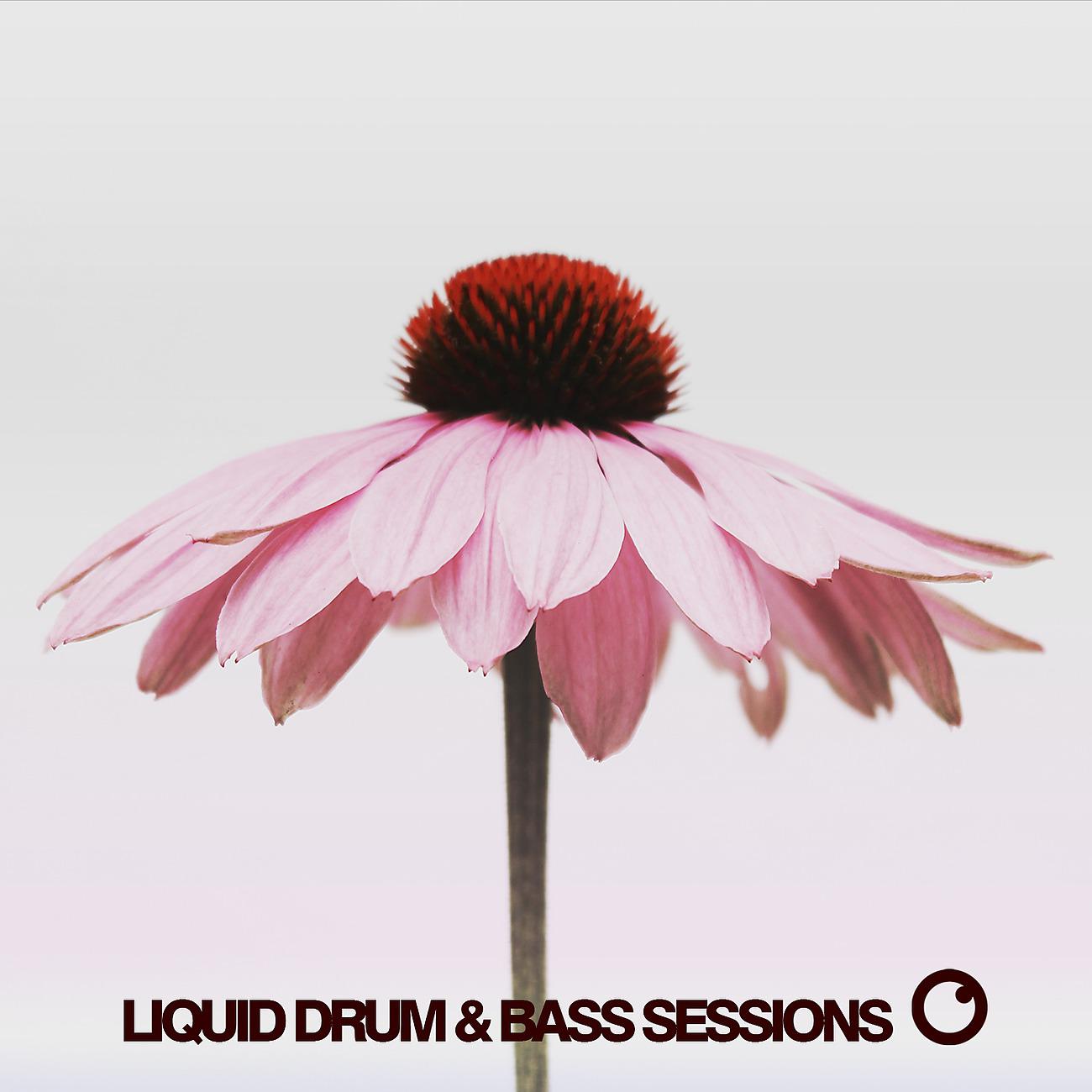Постер альбома Liquid Drum & Bass Sessions 2020 Vol 10