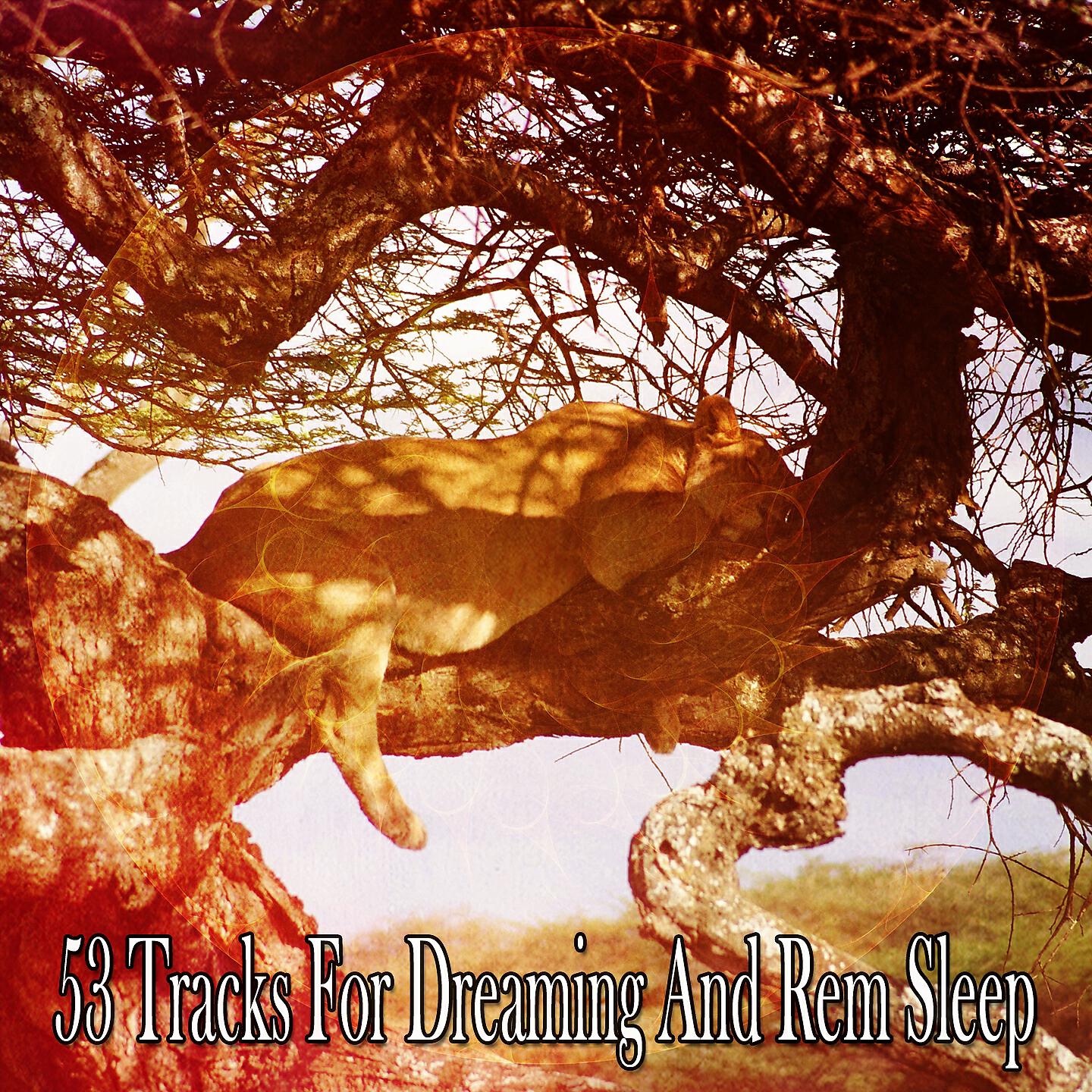 Relaxing With Sounds of Nature and Spa Music Natural White Noise Sound Therapy - Dream Lullaby