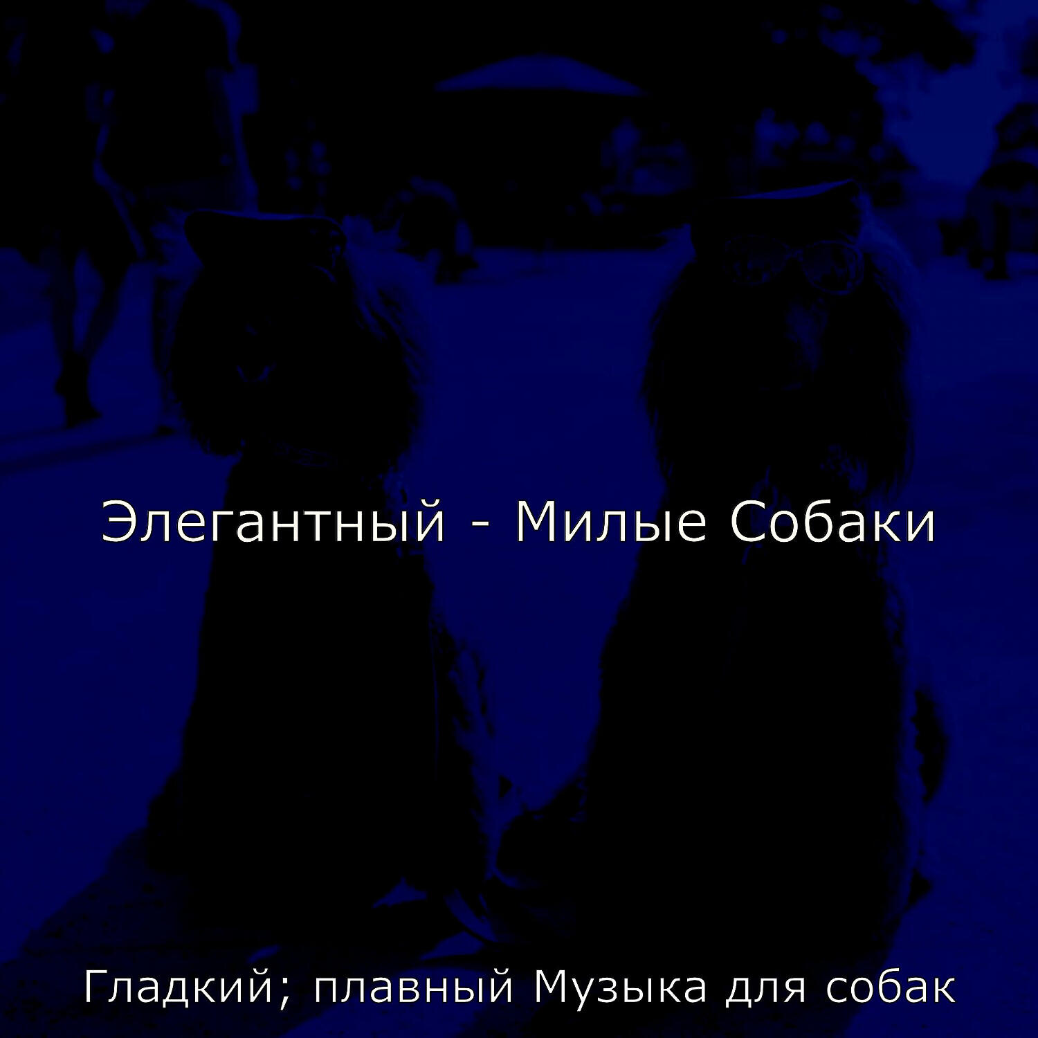 Гладкий; плавный Музыка для собак - Звуки (Милые Собаки)