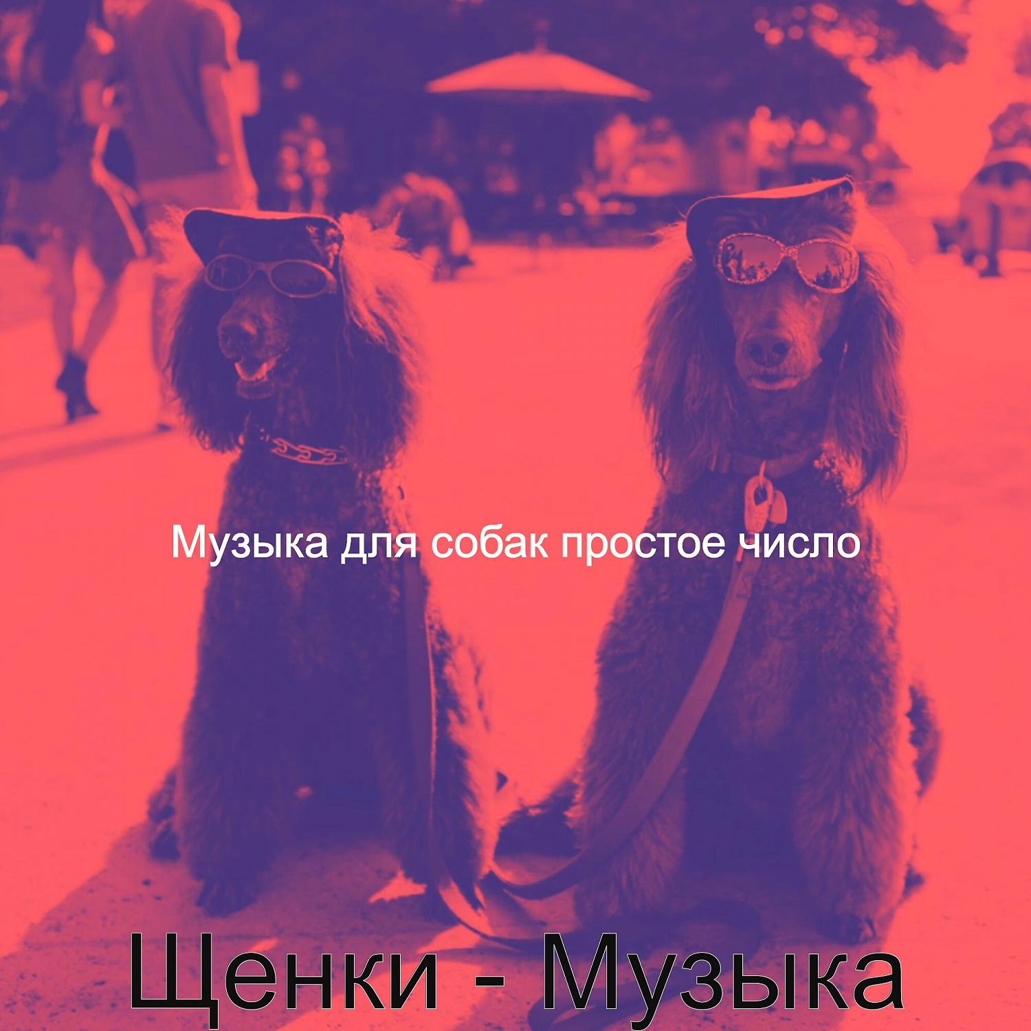 Постер альбома Щенки - Музыка