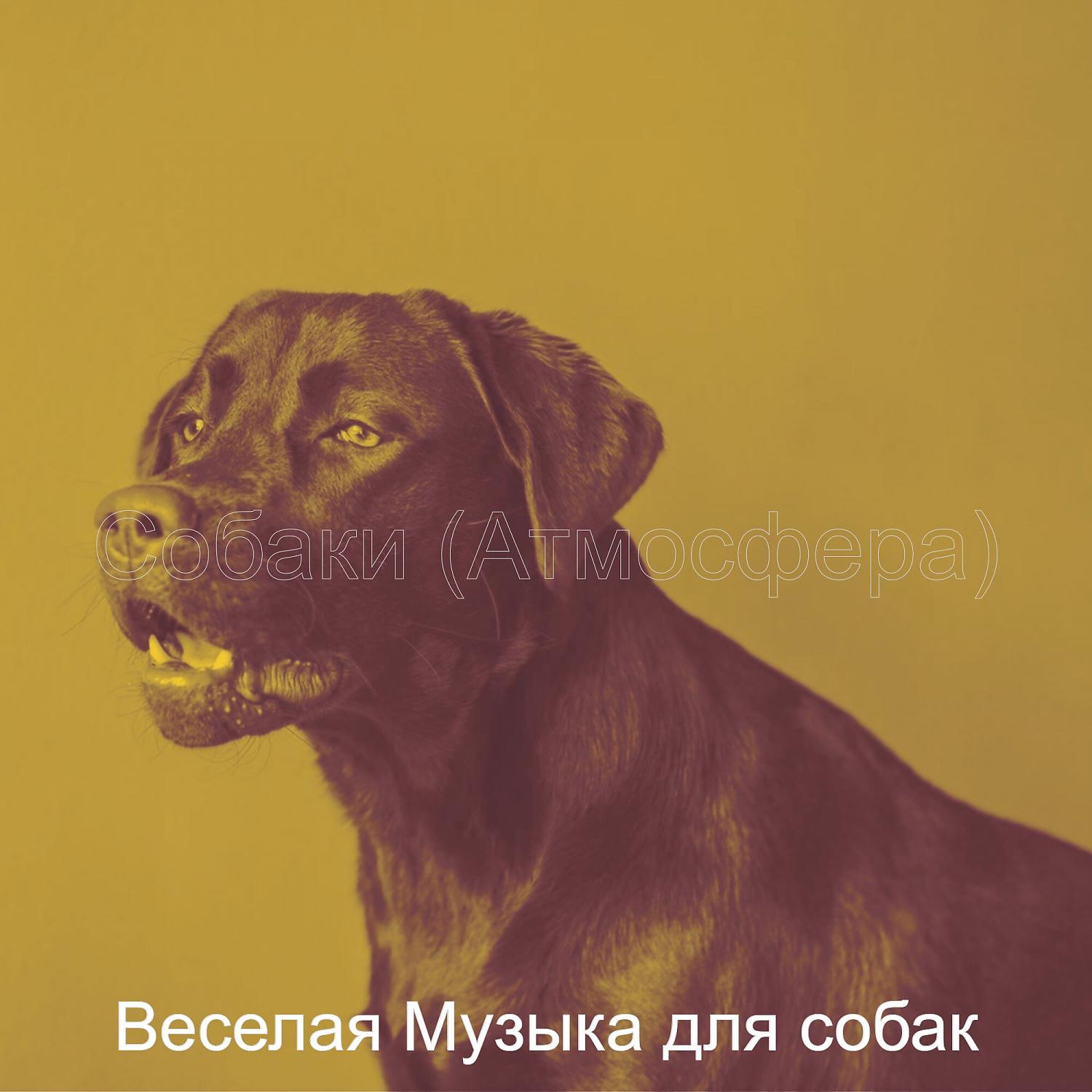 Постер альбома Собаки (Атмосфера)