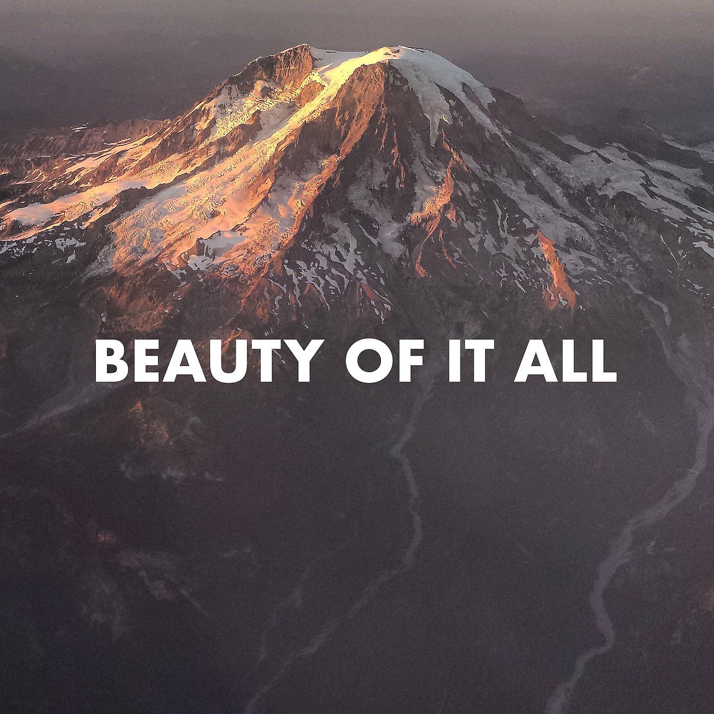 Постер альбома Beauty of It All (2021 Radio Edit)