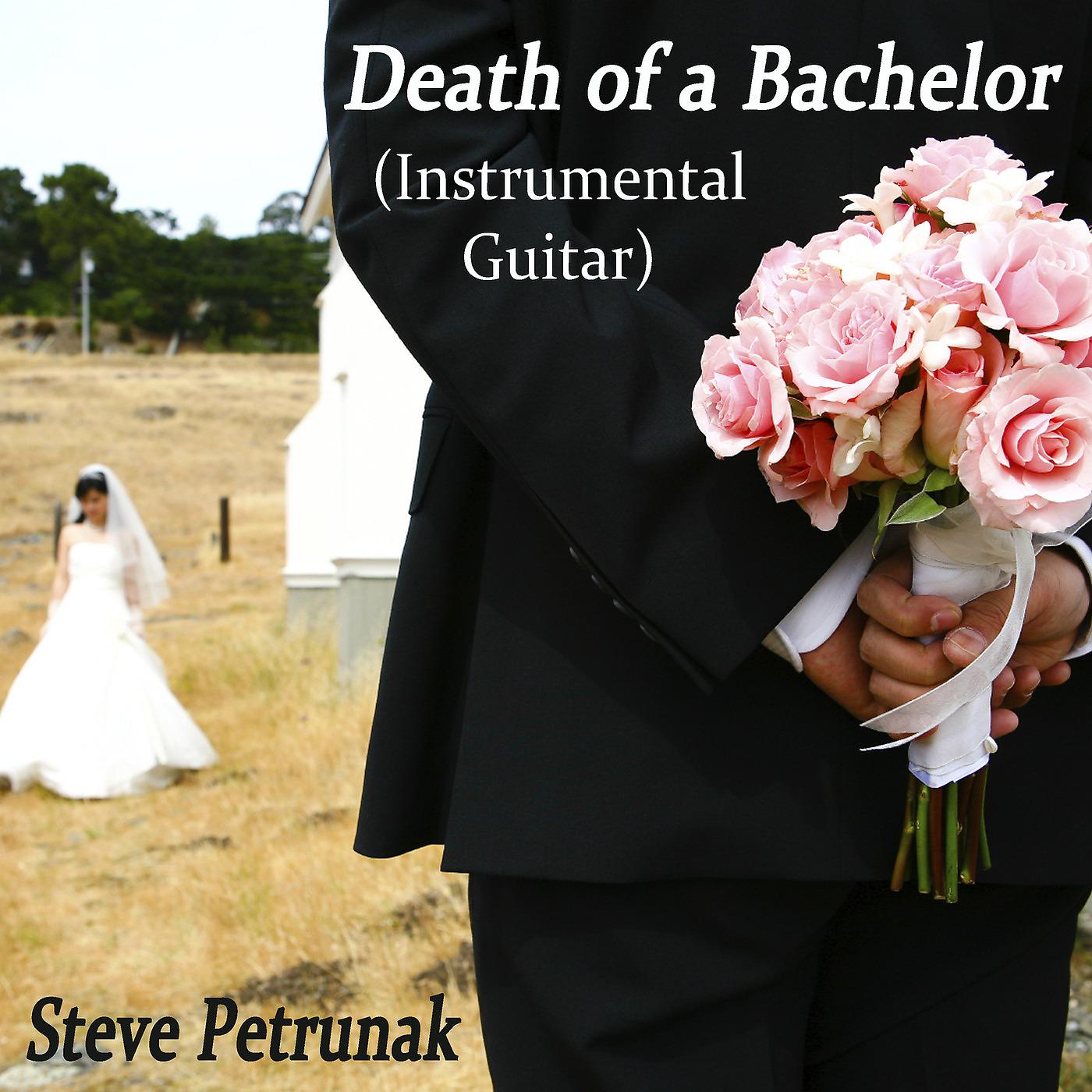 Постер альбома Death of a Bachelor (Instrumental Guitar)