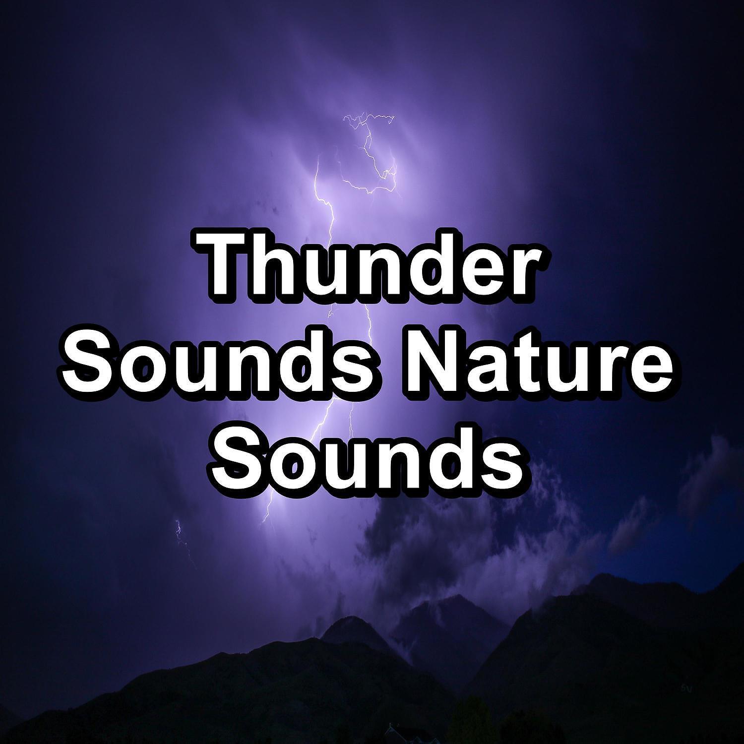 Nature - Gutter Rain and Nature Sounds Calm Instrumental Sounds
