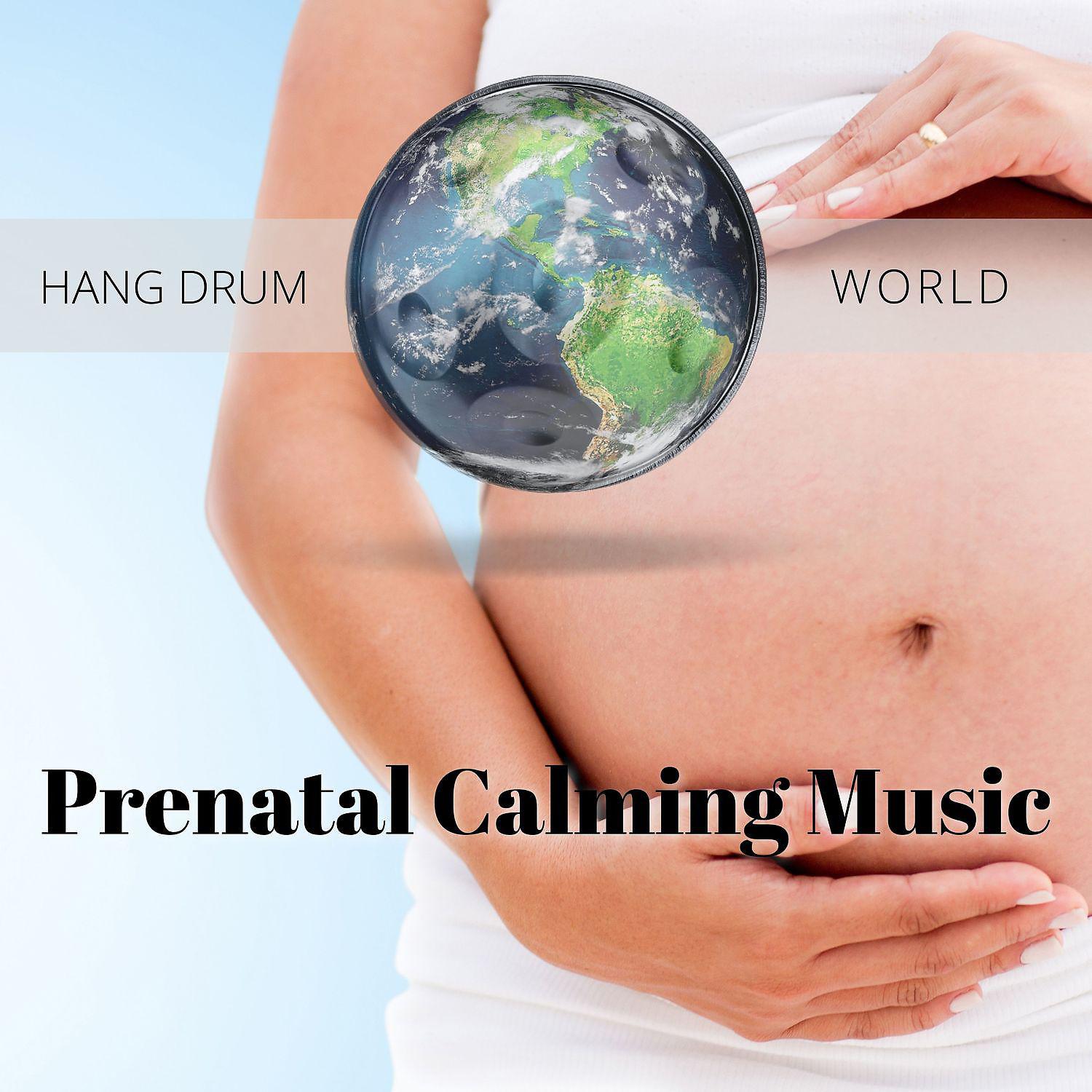 Постер альбома Prenatal Calming Music