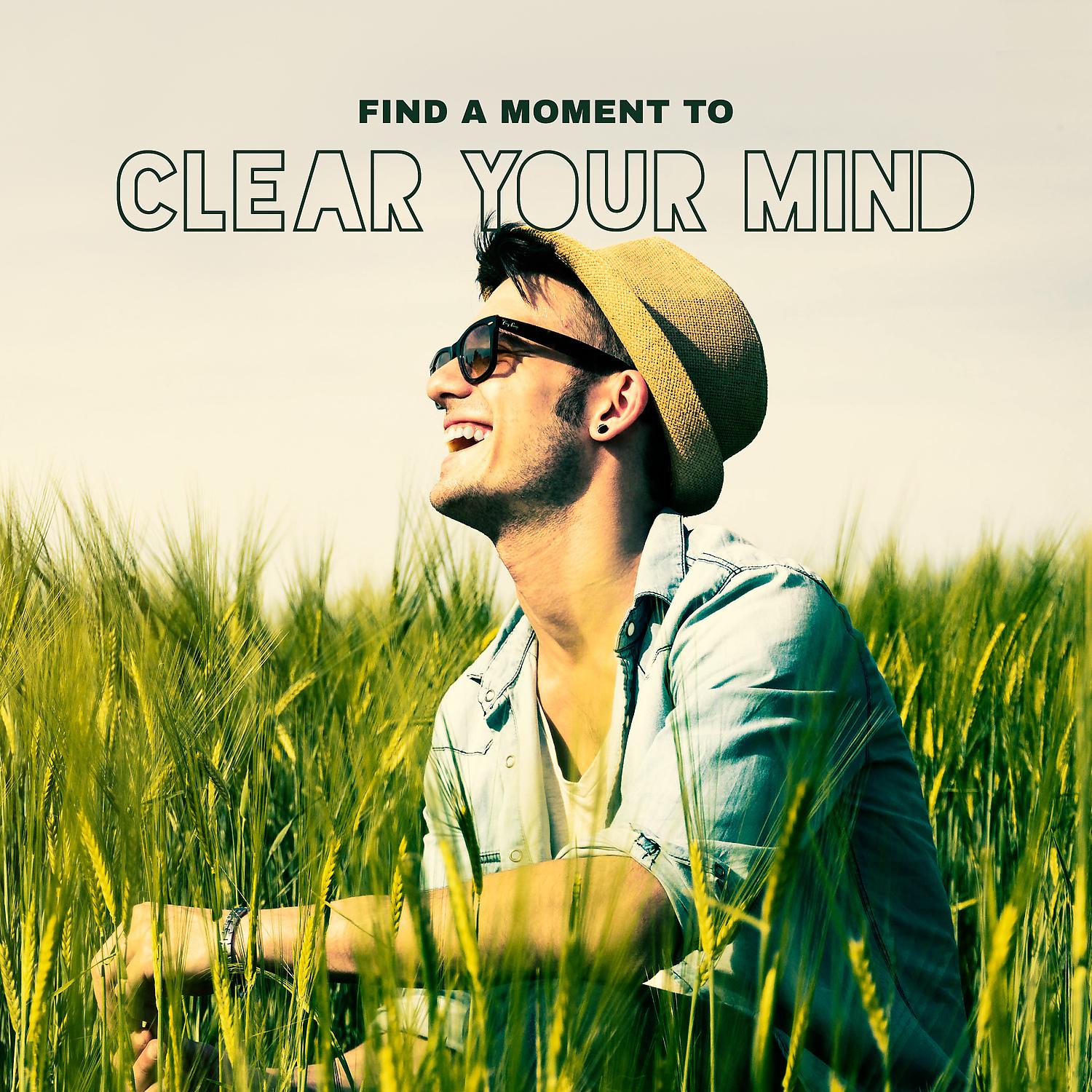 Постер альбома Find a Moment to Clear Your Mind