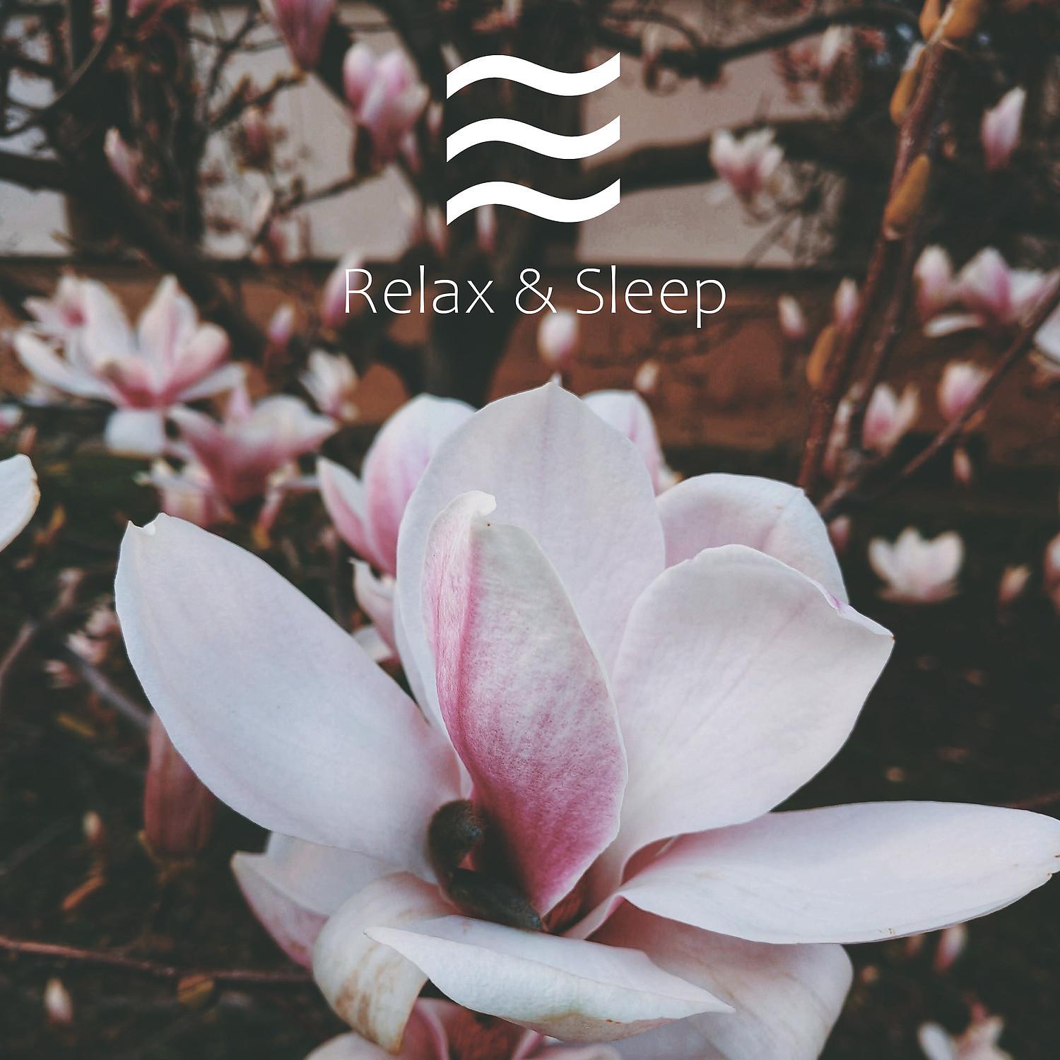 Постер альбома Sleep Sound of Sober Rain for Sleeping Babies
