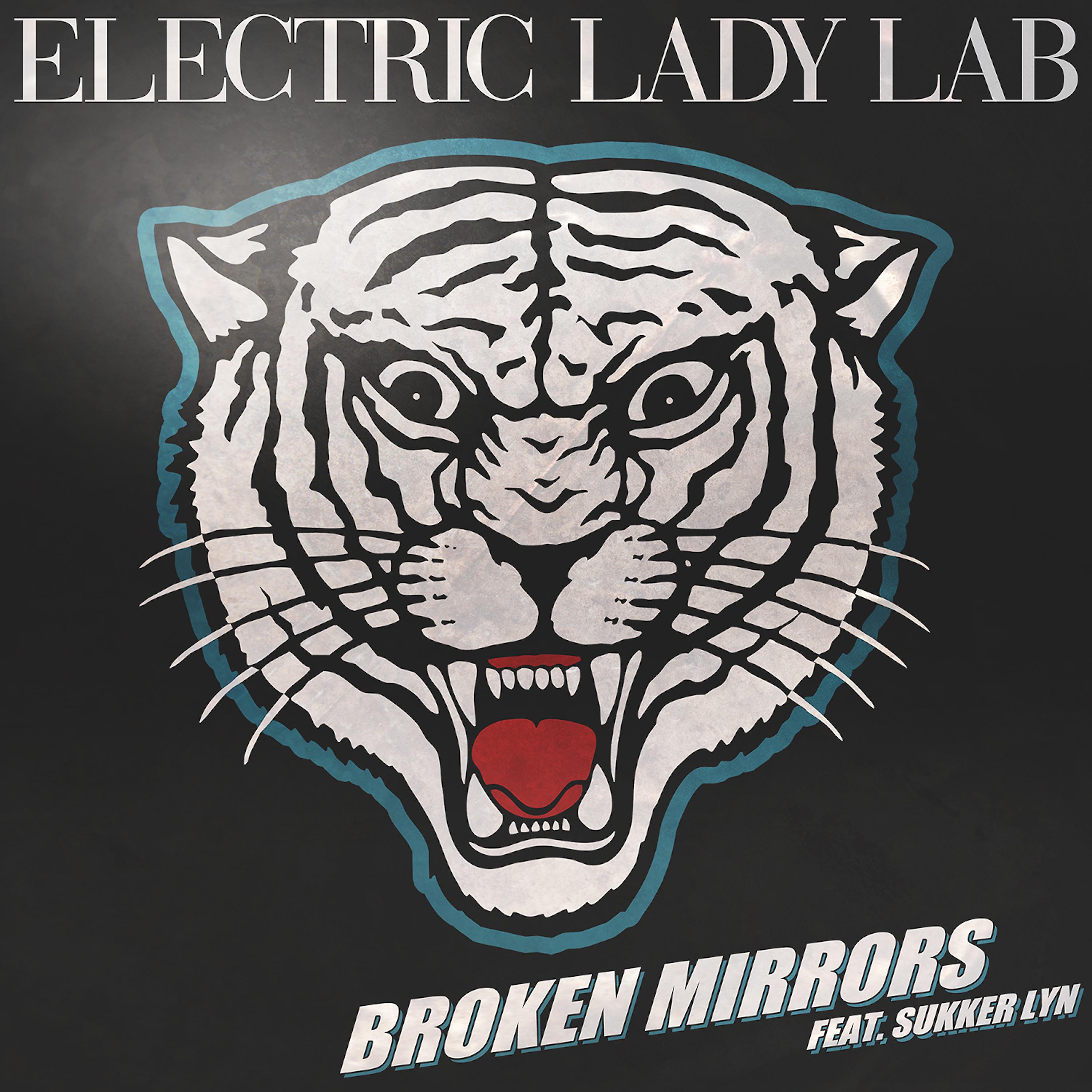 Постер альбома Broken Mirrors (Remixes)