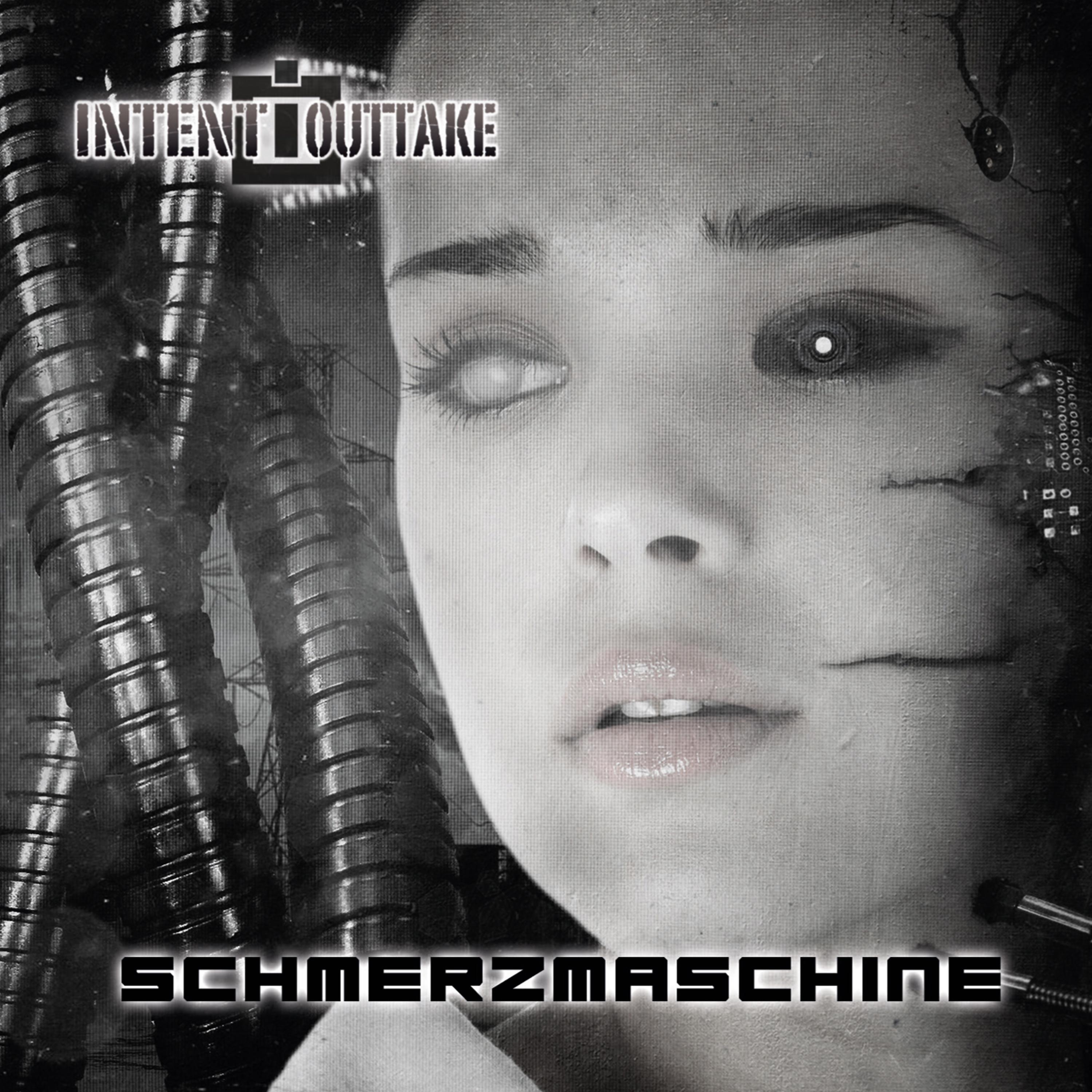 Постер альбома Schmerzmaschine