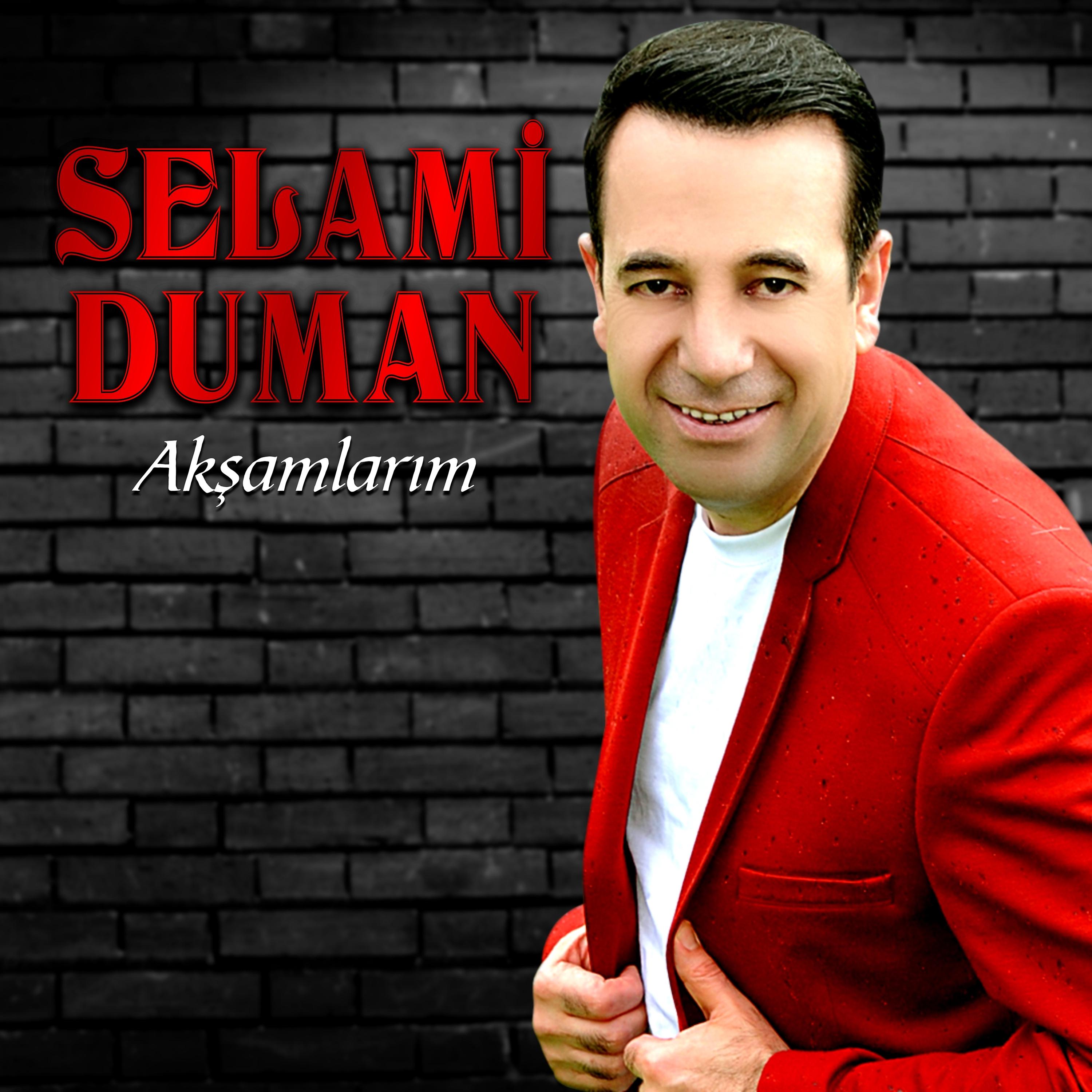 Постер альбома Akşamlarım