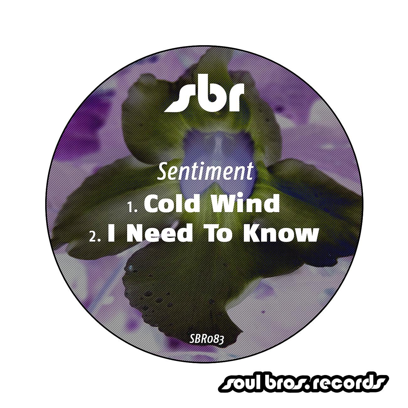 Постер альбома Cold Wind / I Need To Know