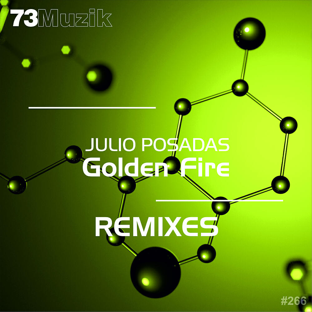 Julio Posadas - Golden Fire (Puddle ecoSystem Remix)