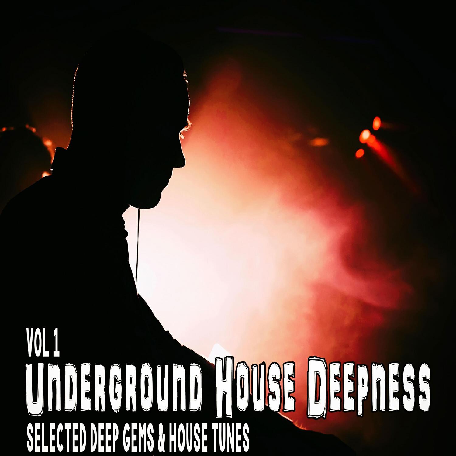Tom Nigro - Fly Now (Supasaxy House Mix)