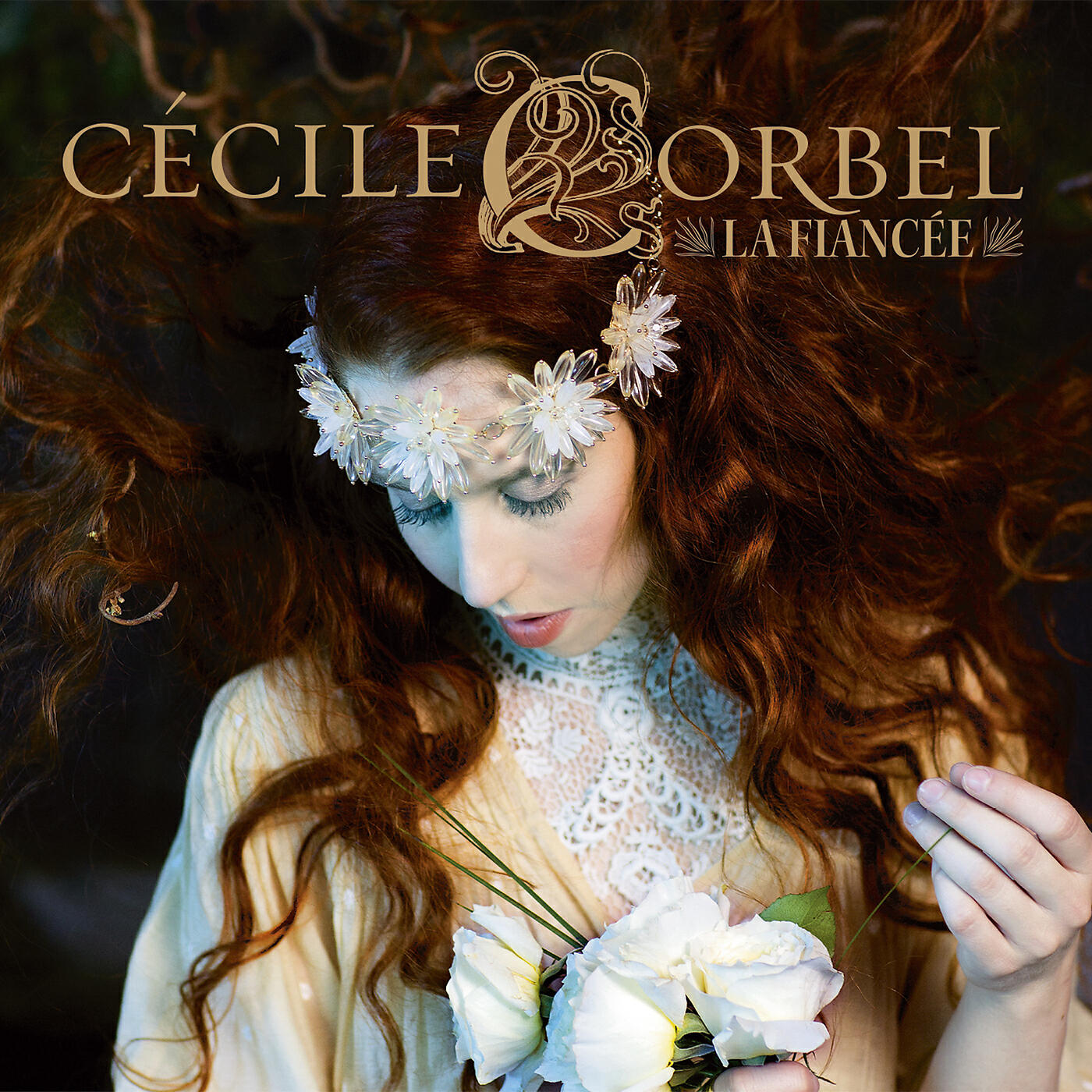 Cecile Corbel - Les Passagers Du Vent