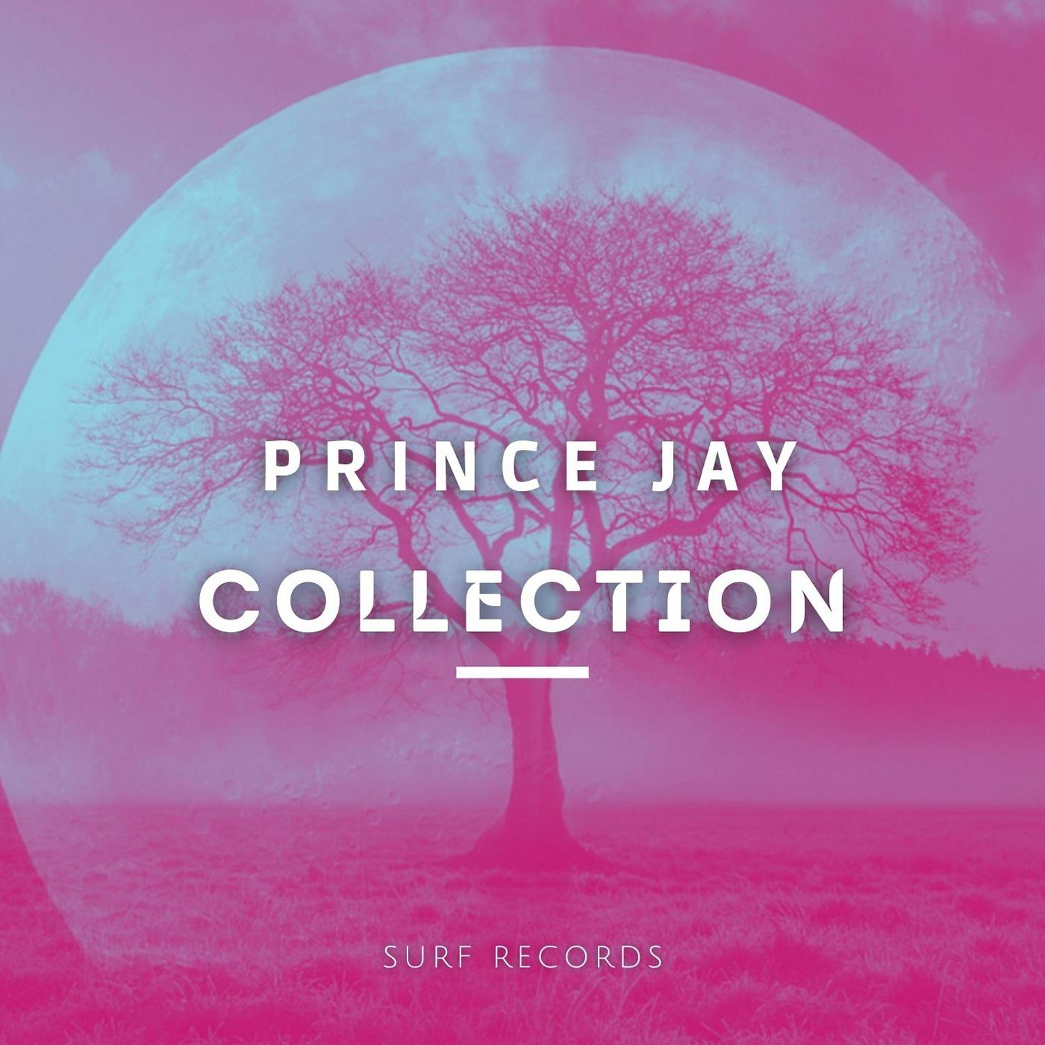 Постер альбома Prince Jay Collection