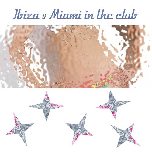 Постер альбома Ibiza & Miami in the Club (Summer 2013 essential for djs)