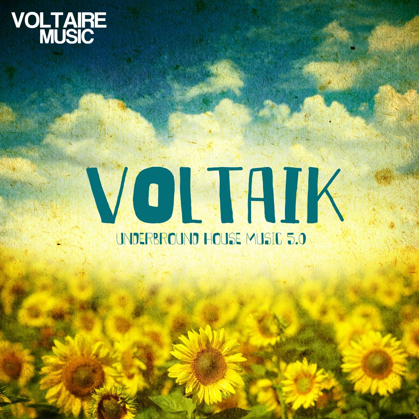 Постер альбома Voltaik 5.0