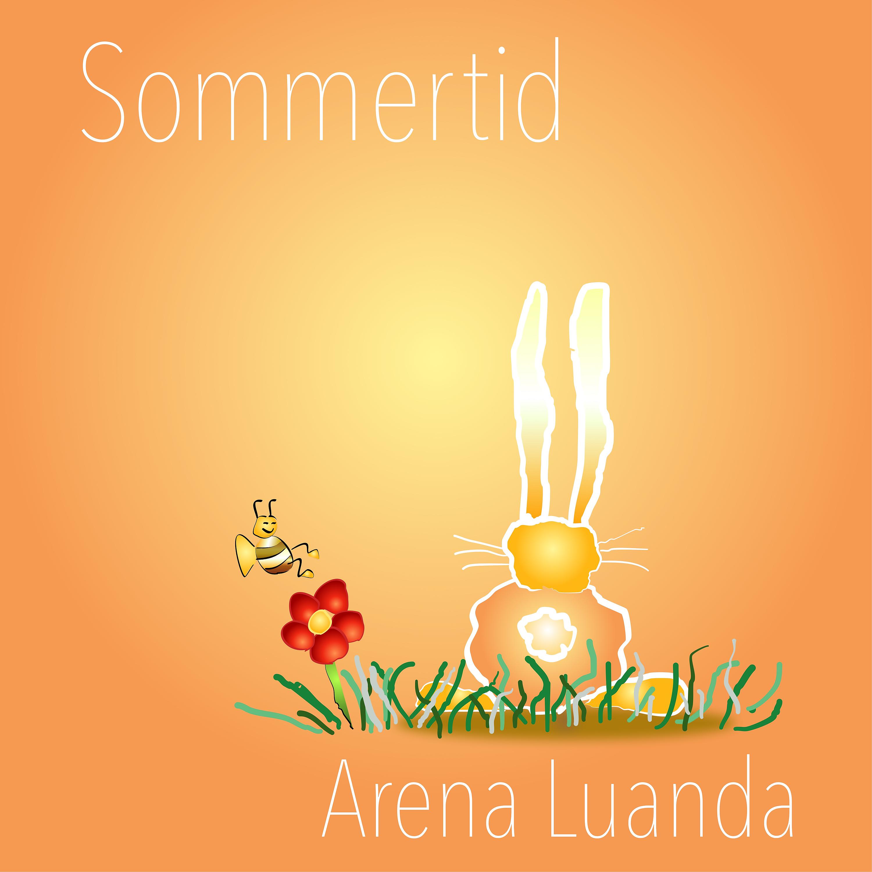 Постер альбома Sommertid