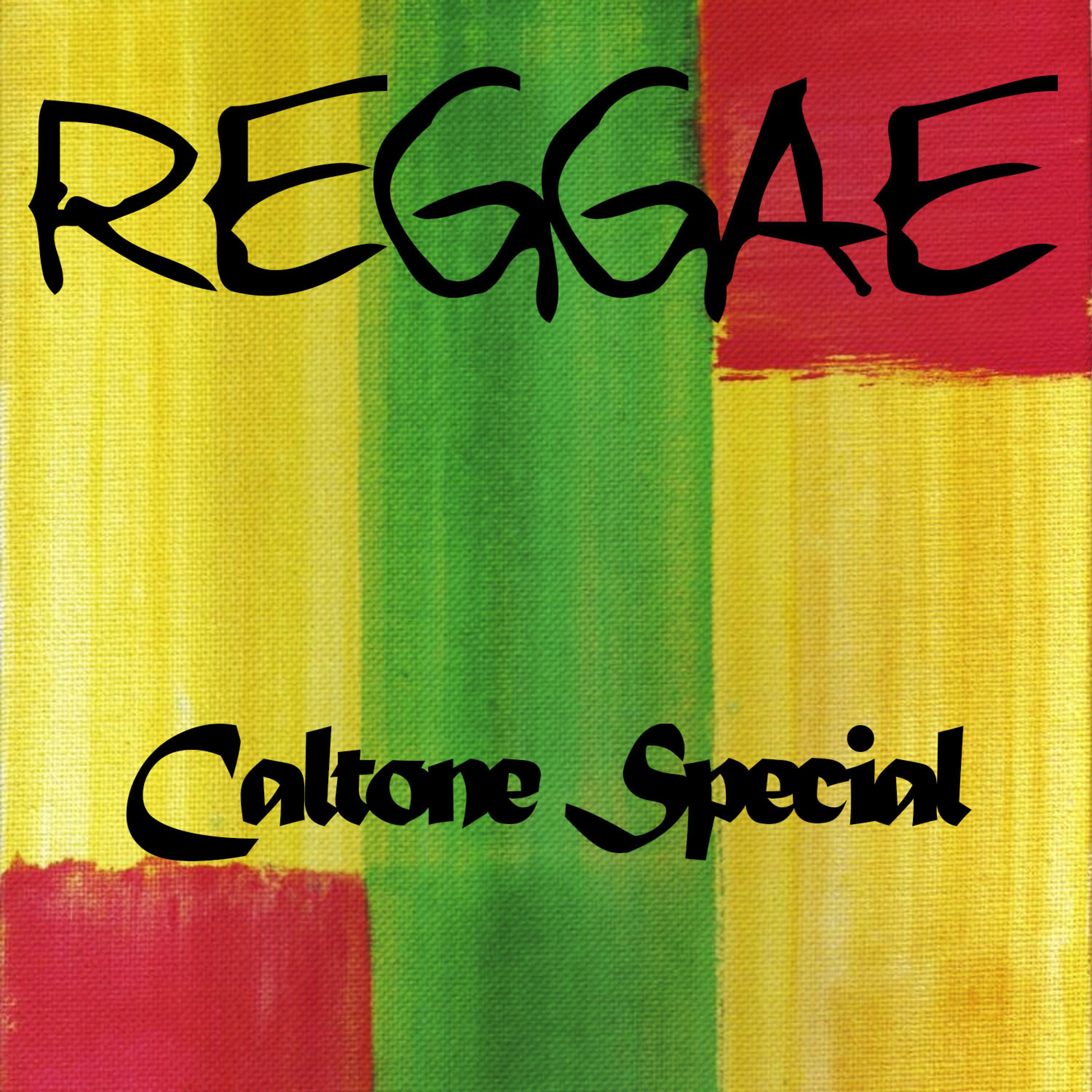 Постер альбома Reggae Caltone Special