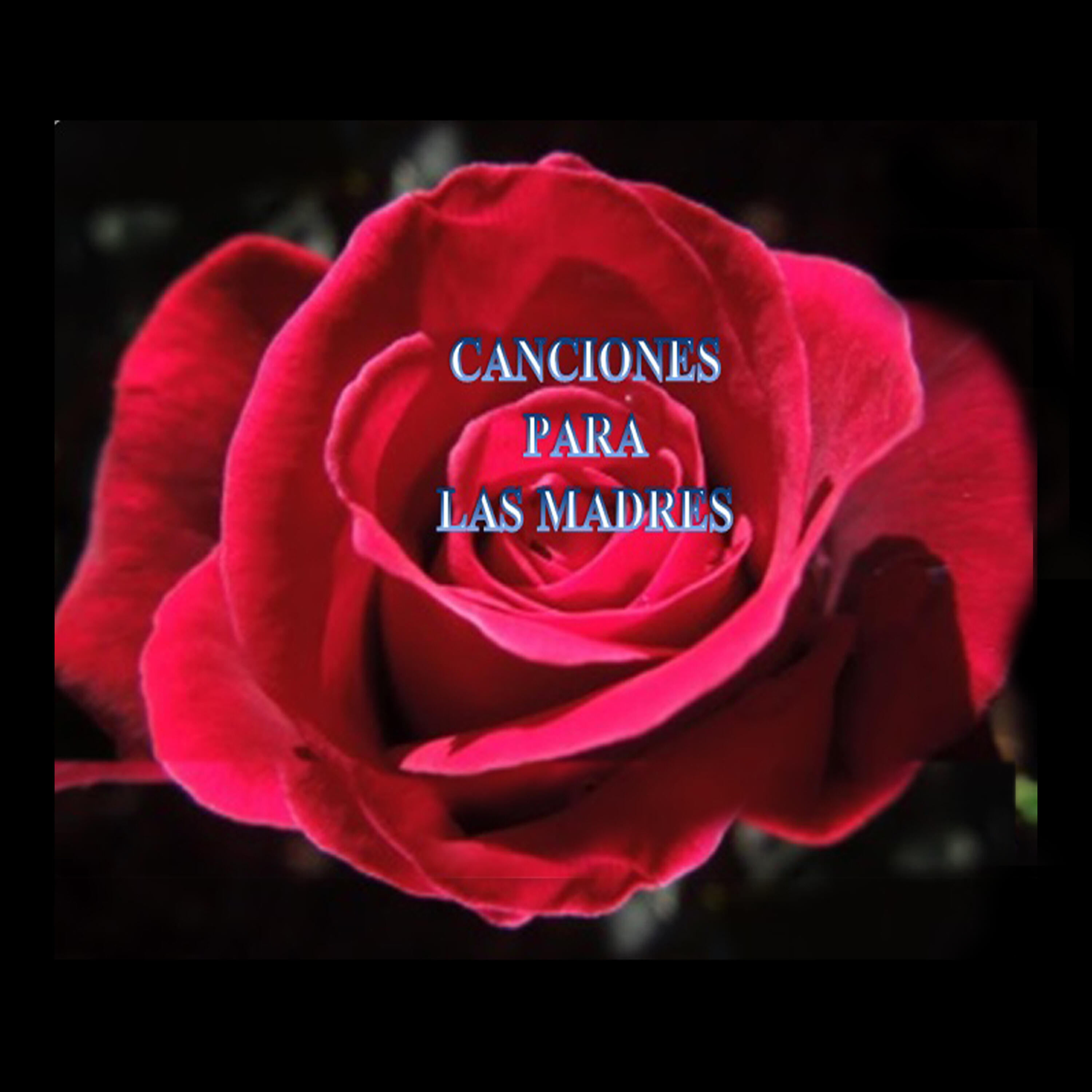 Amancay - Lagrimas de Mi Madre