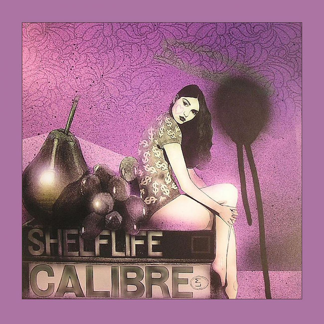 Постер альбома Shelflife