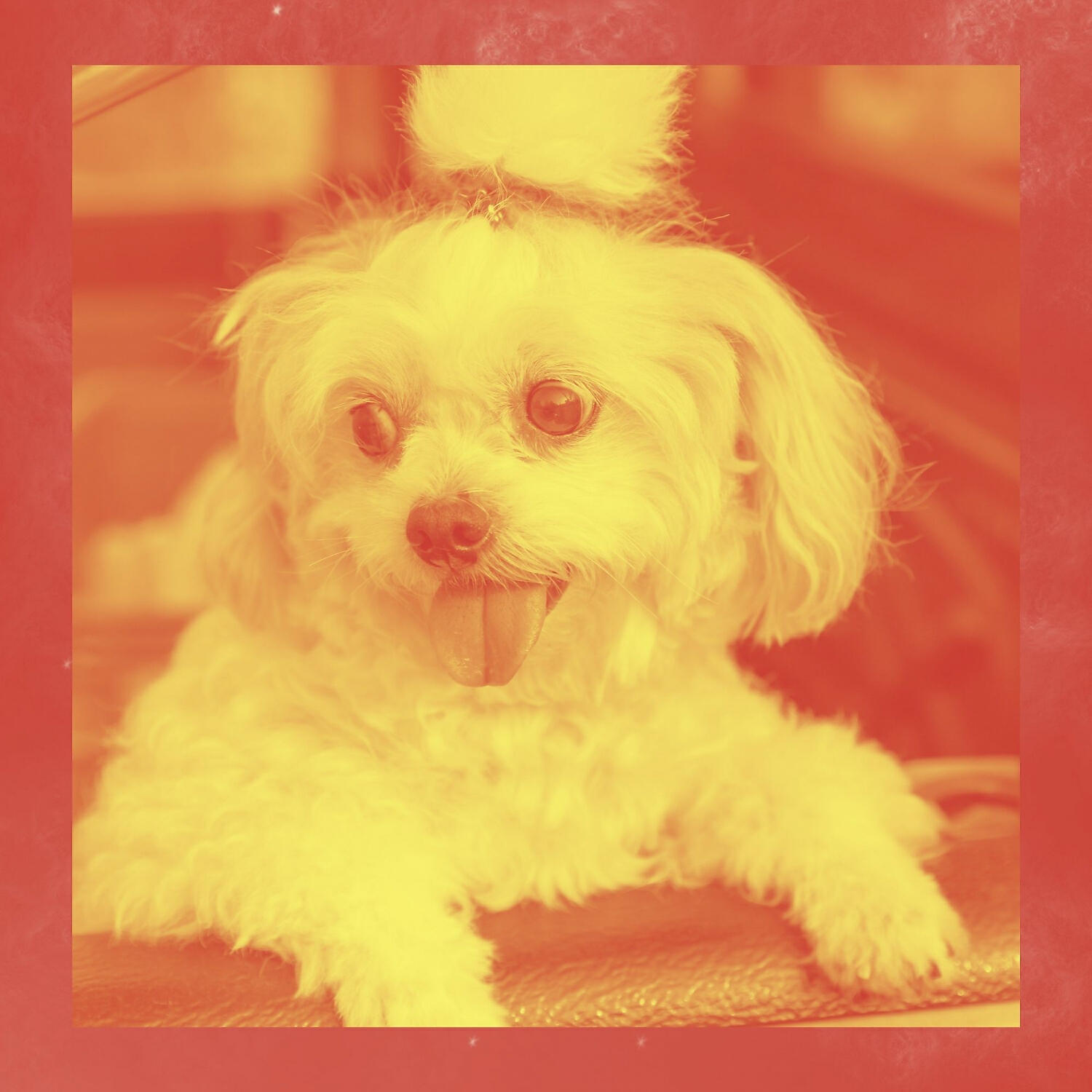 Relaxing Dog Music Orchestra - Atmospheric Music for Calming Your Puppy