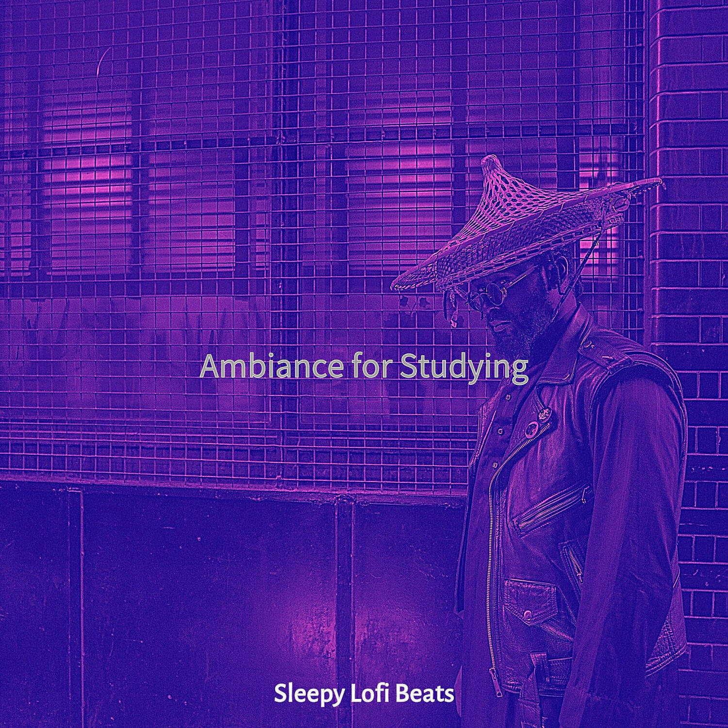 Sleepy Lofi Beats - Sunny Lofi Chill-hop - Vibe for Streaming