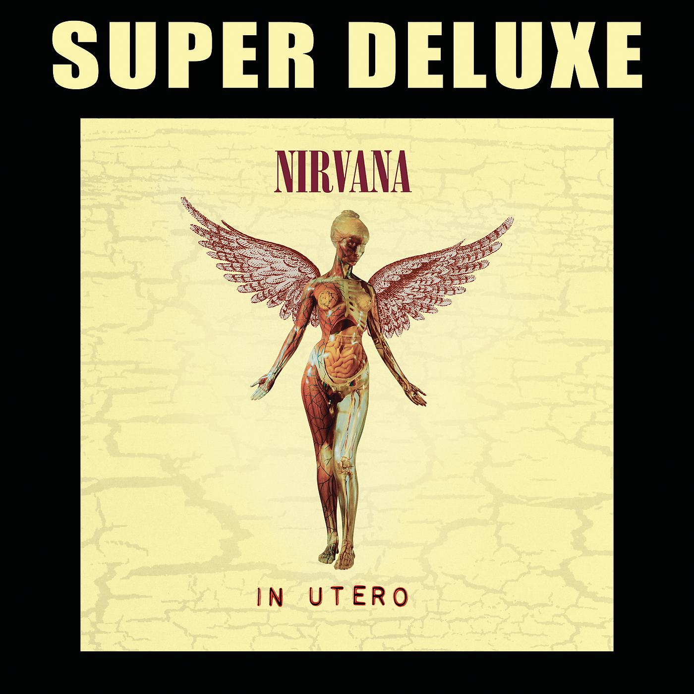Постер альбома In Utero (Super Deluxe Edition)