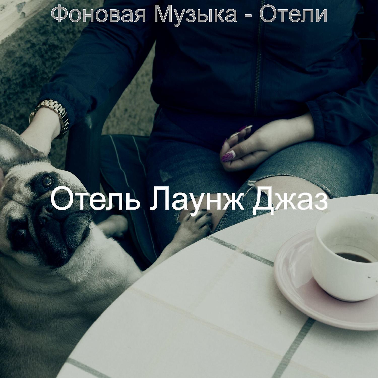 Постер альбома Фоновая Музыка - Отели