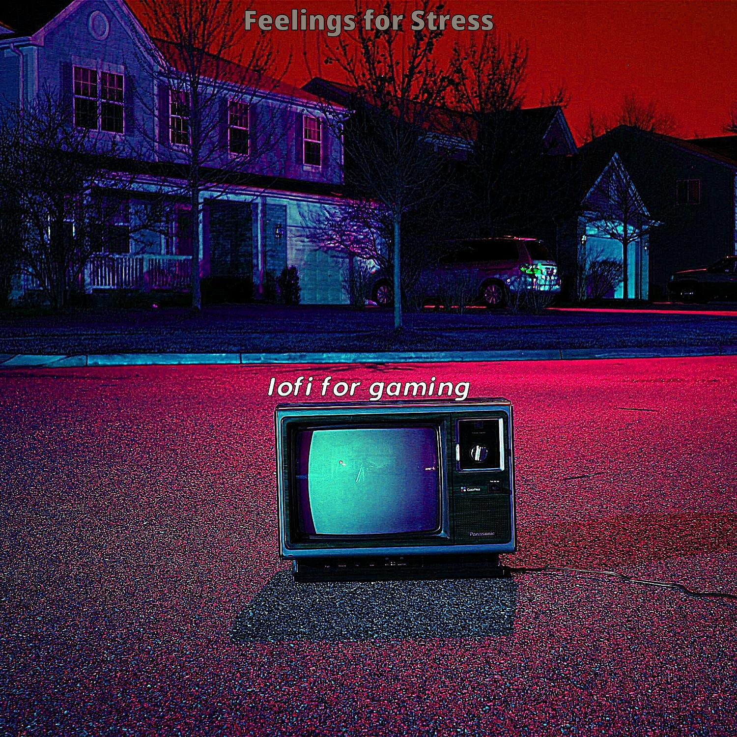 Постер альбома Feelings for Stress